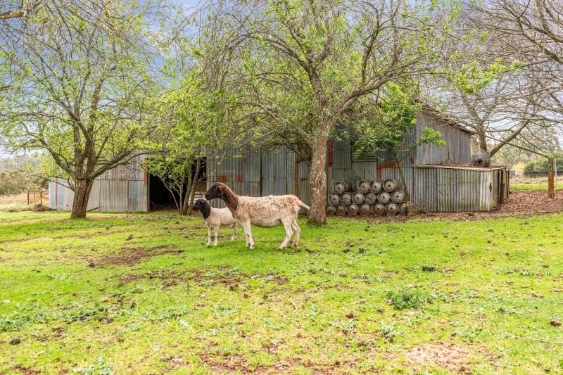 1459 Daylesford-Trentham Road, Lyonville