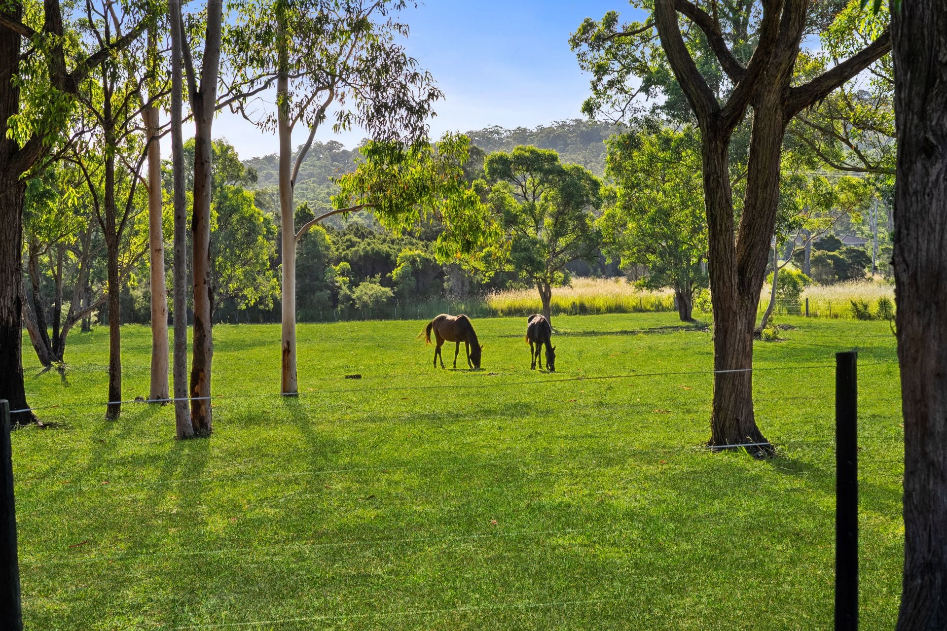 10A Cottesloe Road, Jilliby, Jilliby - Thumbnail 3