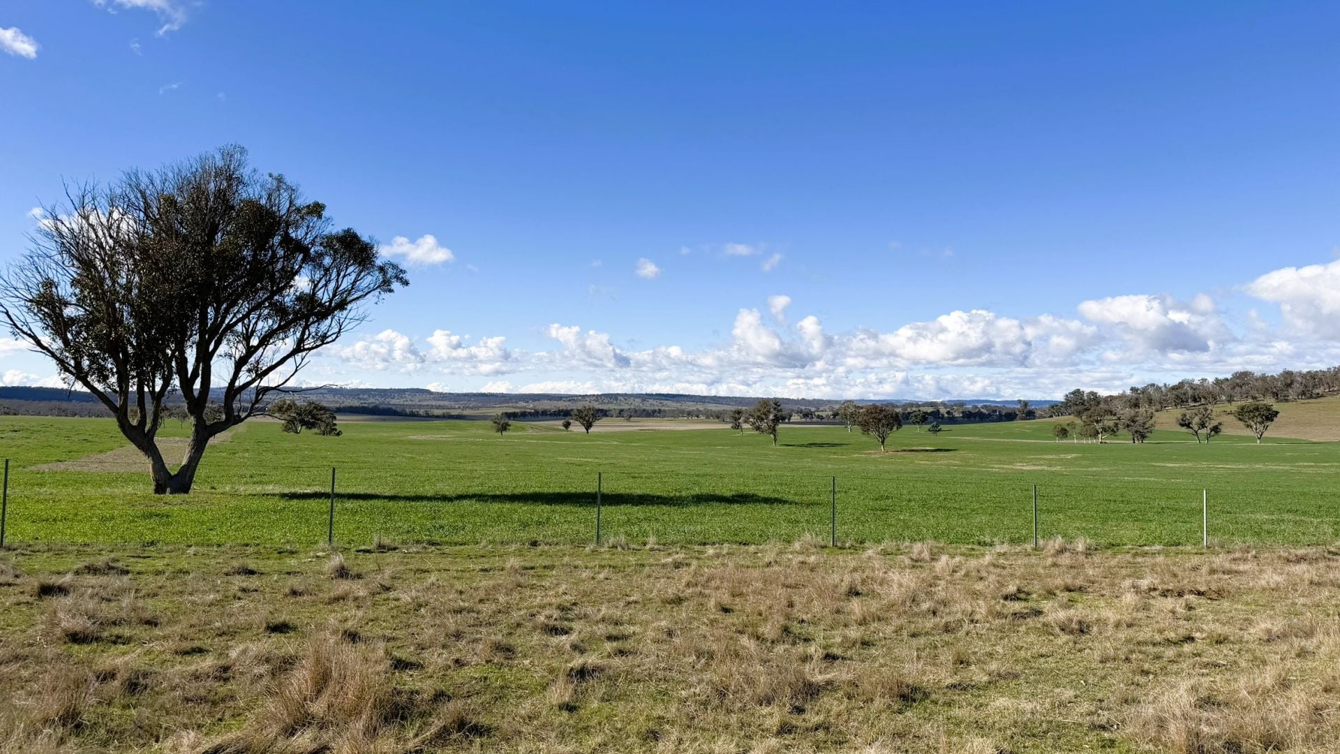 91 Gill Road, Walcha, Walcha - Thumbnail 7