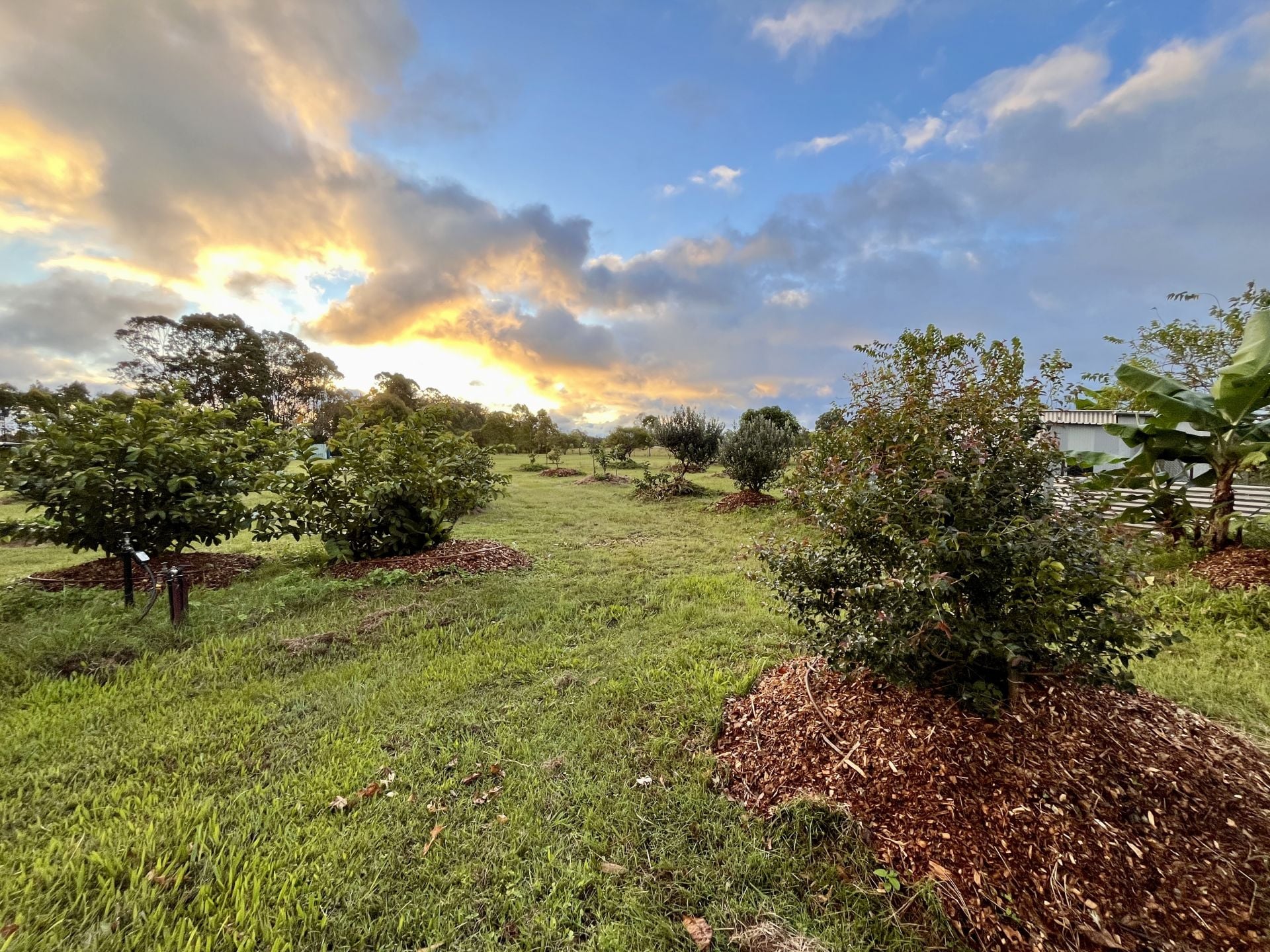 84 Gordon Earl Drive, Millstream For Sale by Farmbuy.com - image 32