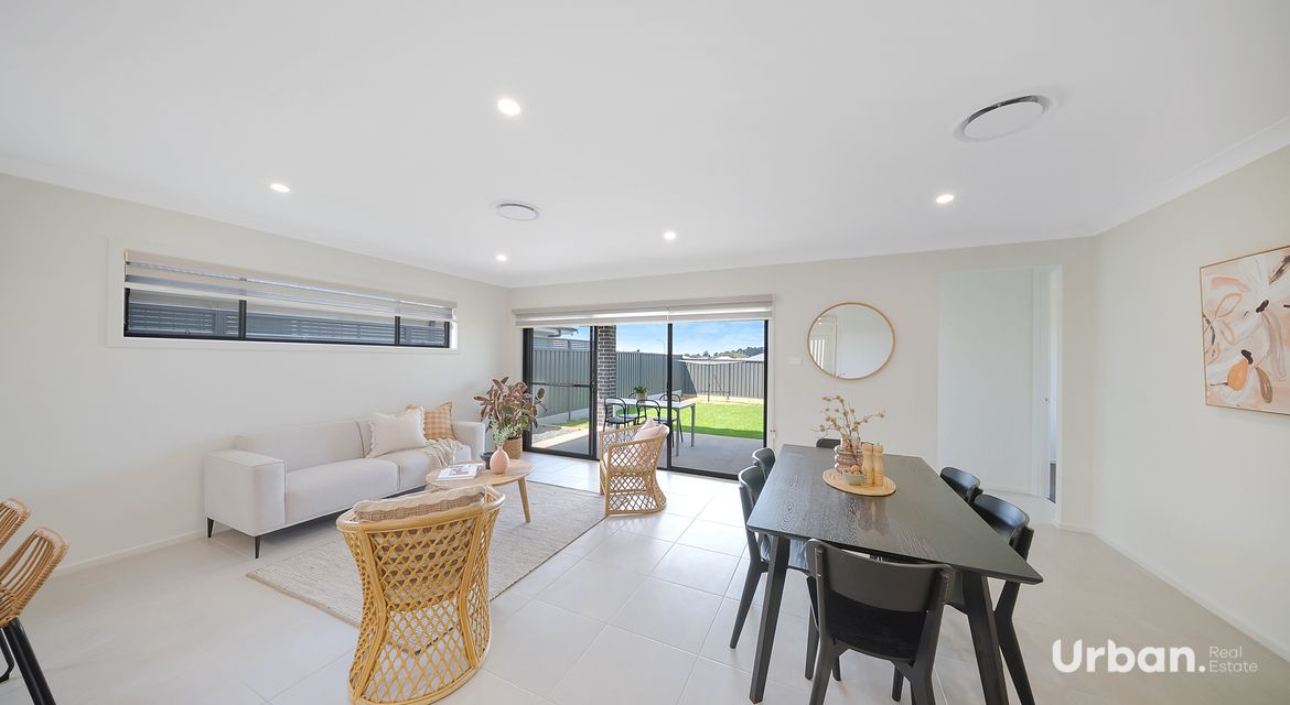Bellbird 68 Abbotsford Street