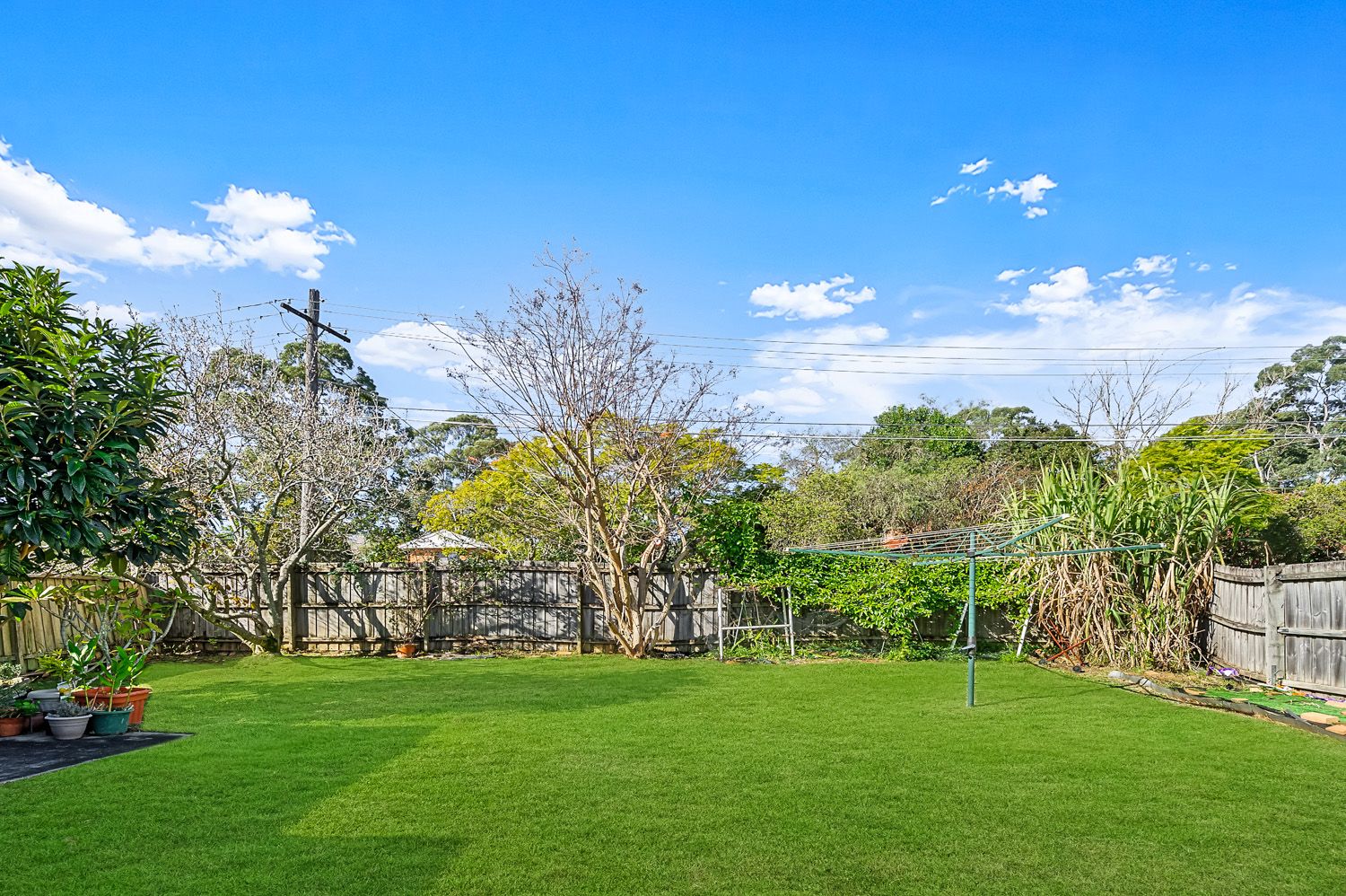 29 Edwards Road, Wahroonga, Wahroonga - Thumbnail 3