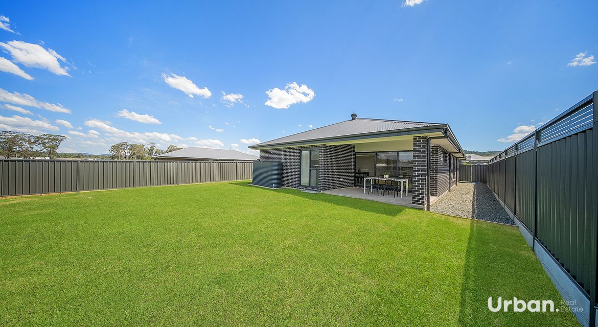 Bellbird 68 Abbotsford Street