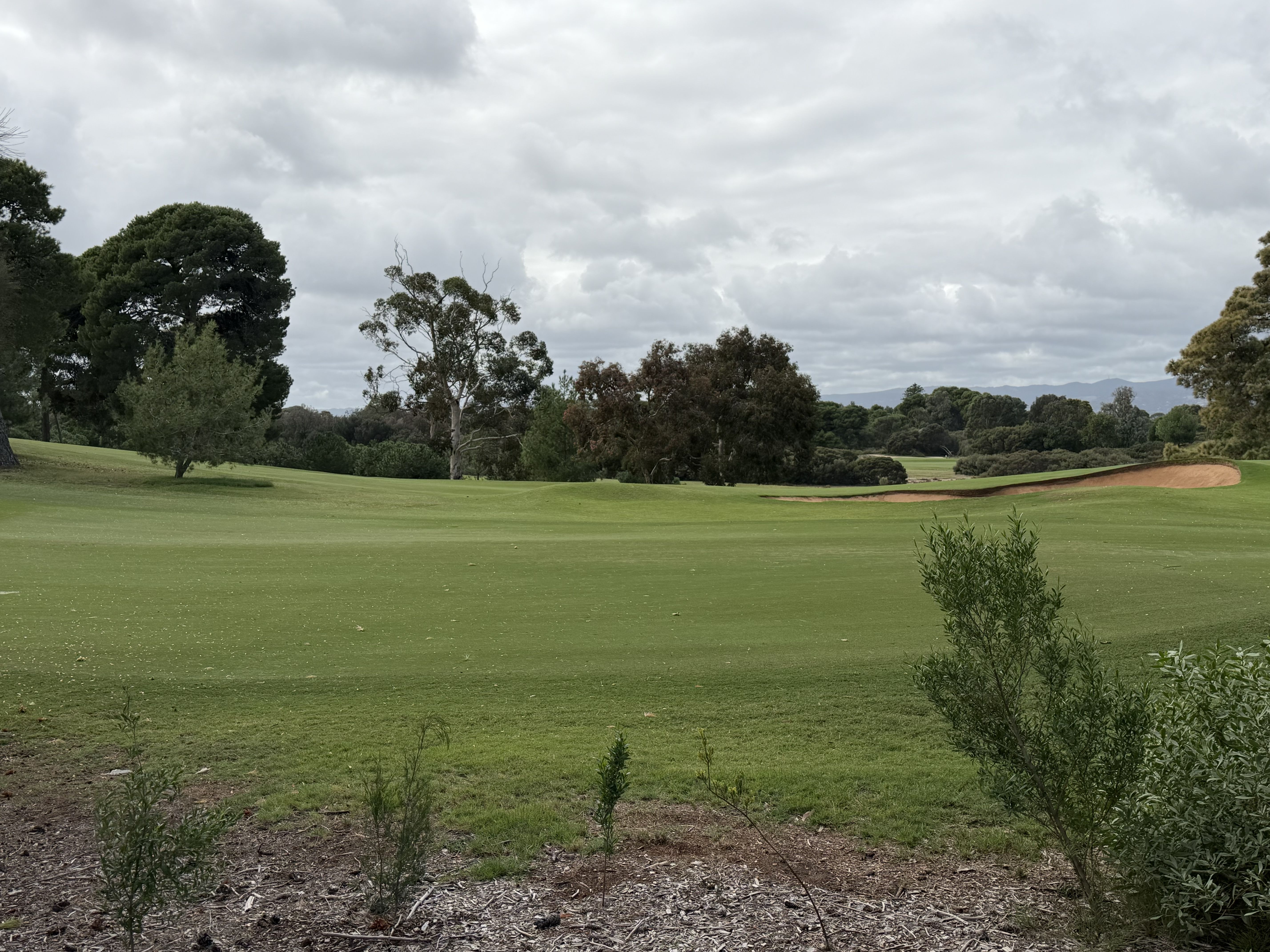 Lot 1  (Proposed)/20 Mawson Crs, Lockleys SA 5032
