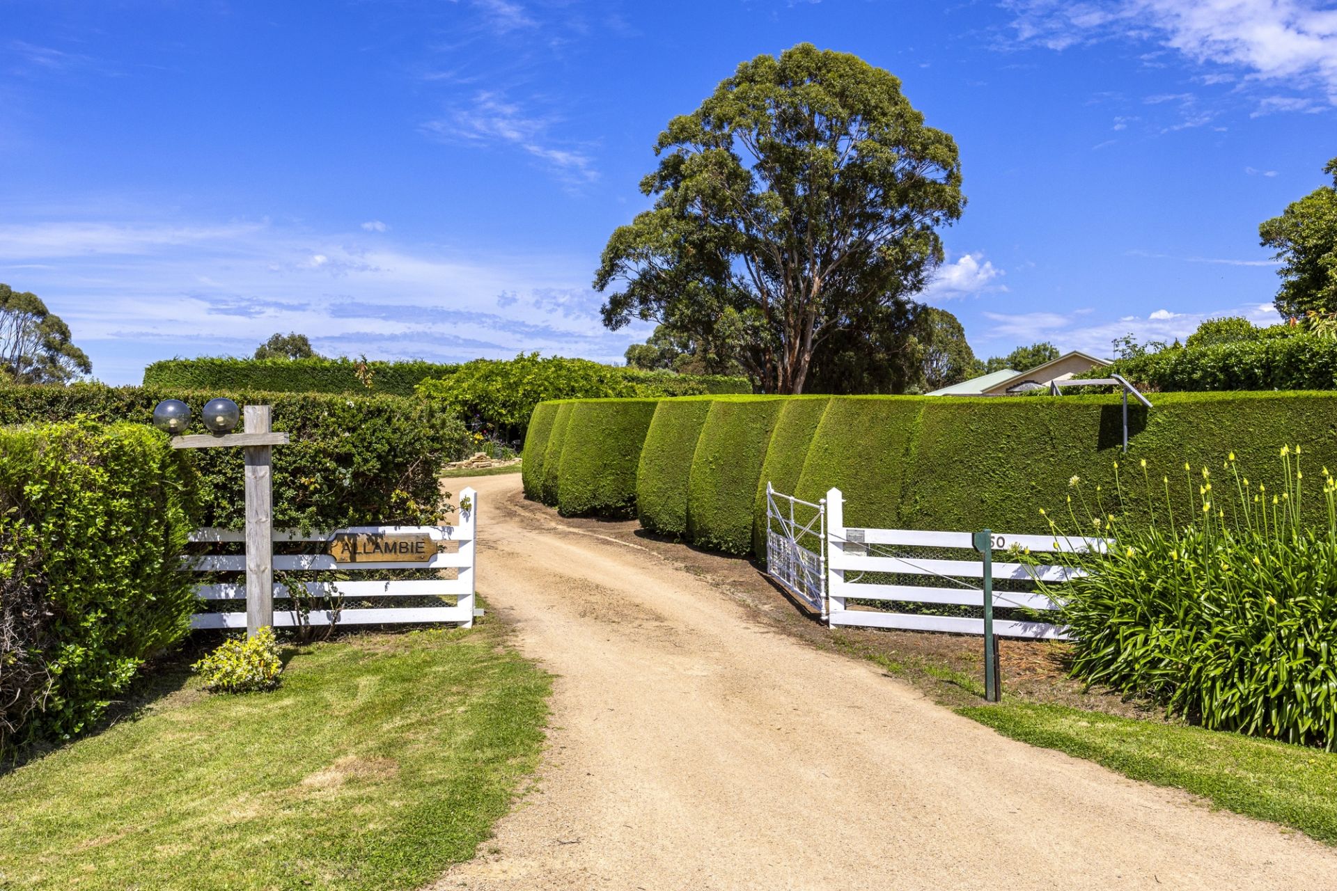 2150 Mornington-Flinders Road, Flinders, Flinders - Thumbnail 3
