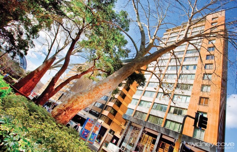 38 Bridge St, SYDNEY NSW 2000, Sydney - Thumbnail 8