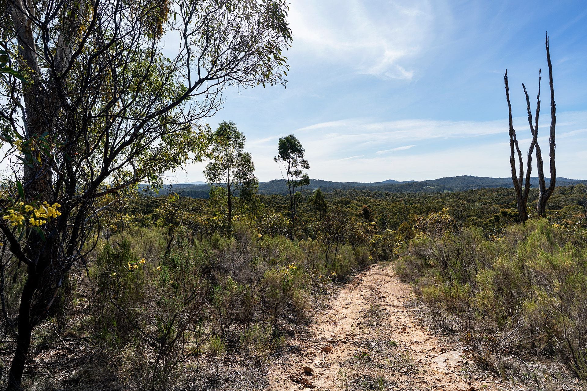 40 Sheldon Track, Fryerstown - Thumbnail 5