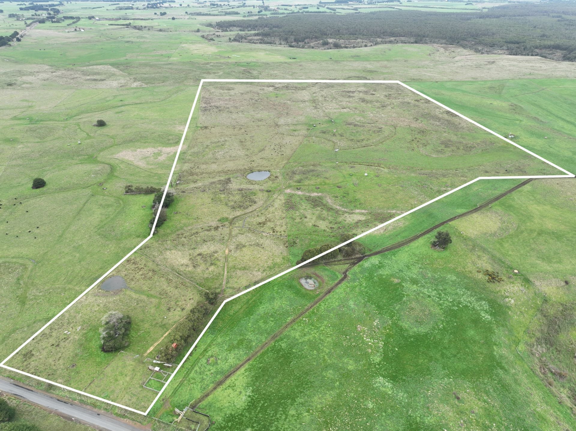 Ellerslie-Panmure Road Framlingham VIC, Framlingham - Image 1