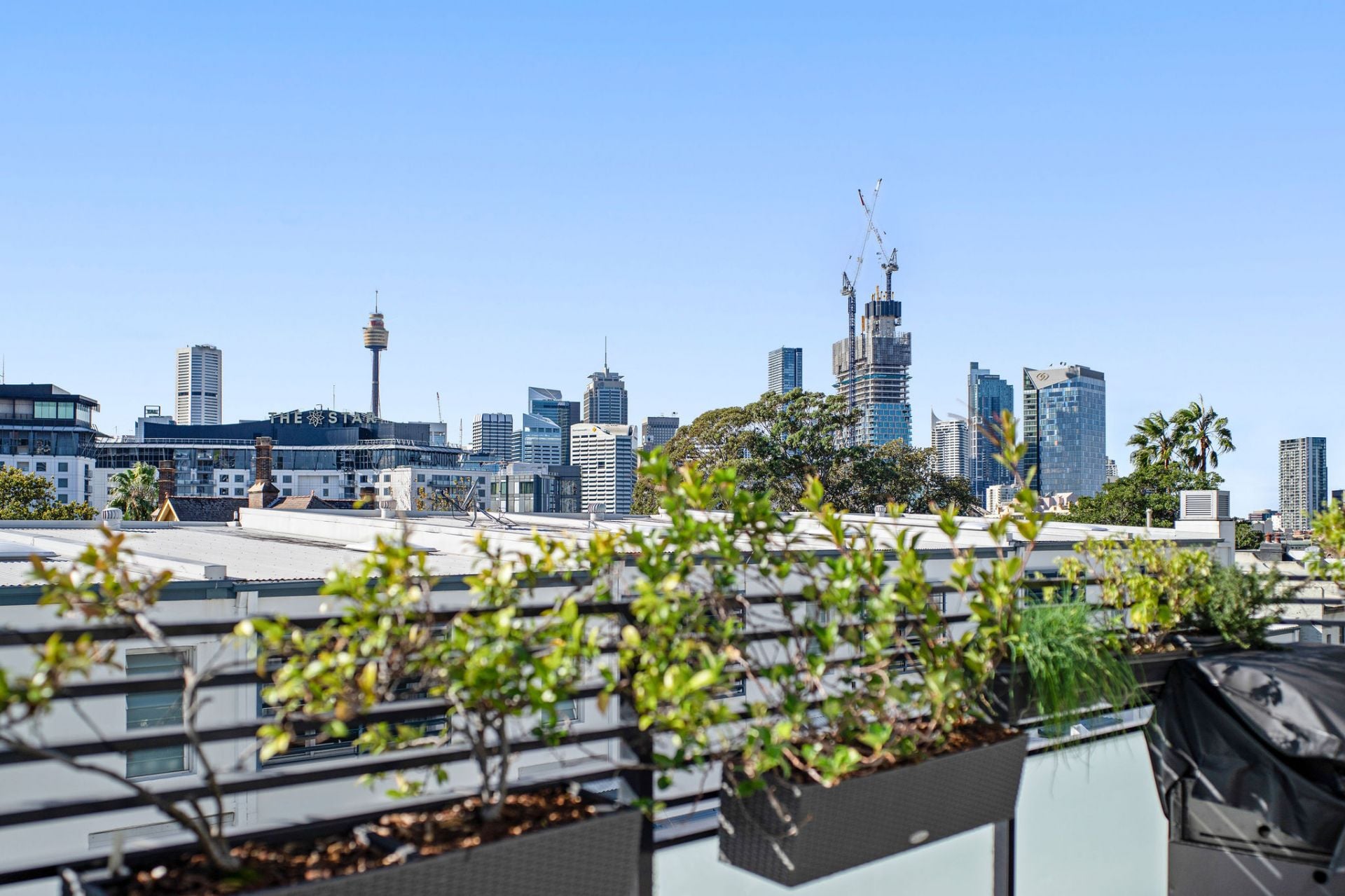 302/26 Cadigal Avenue, Pyrmont | Morton