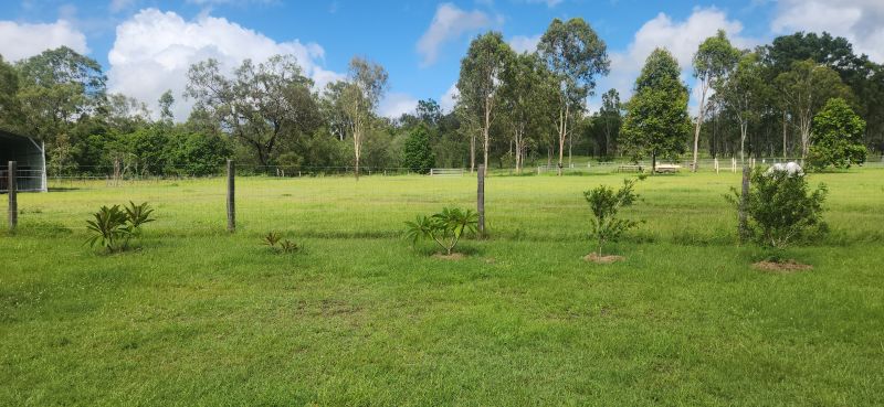 1128 Tableland Road, Horse Camp, Horse Camp - Thumbnail 7