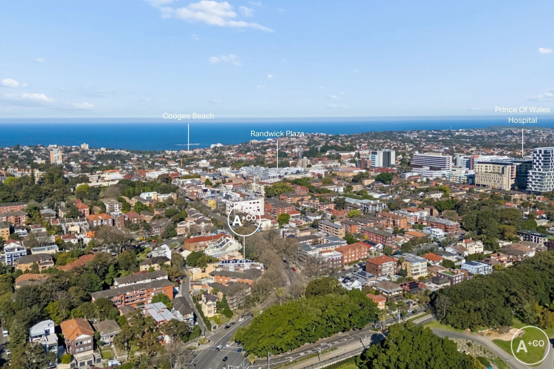 10/118 Alison Road, Randwick, Randwick - Image 1