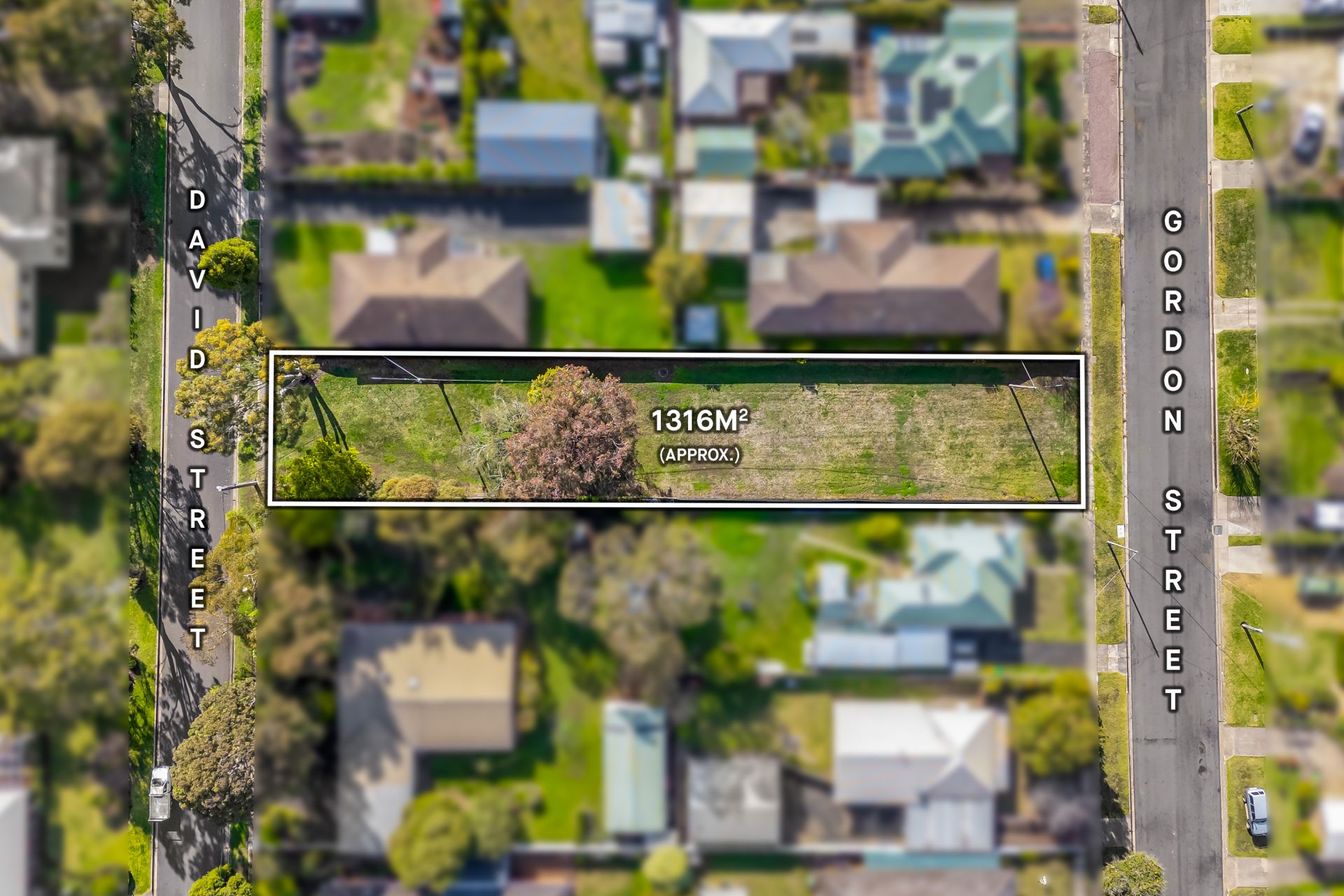 63 Gordon Street, Hamilton, Hamilton - Thumbnail 5