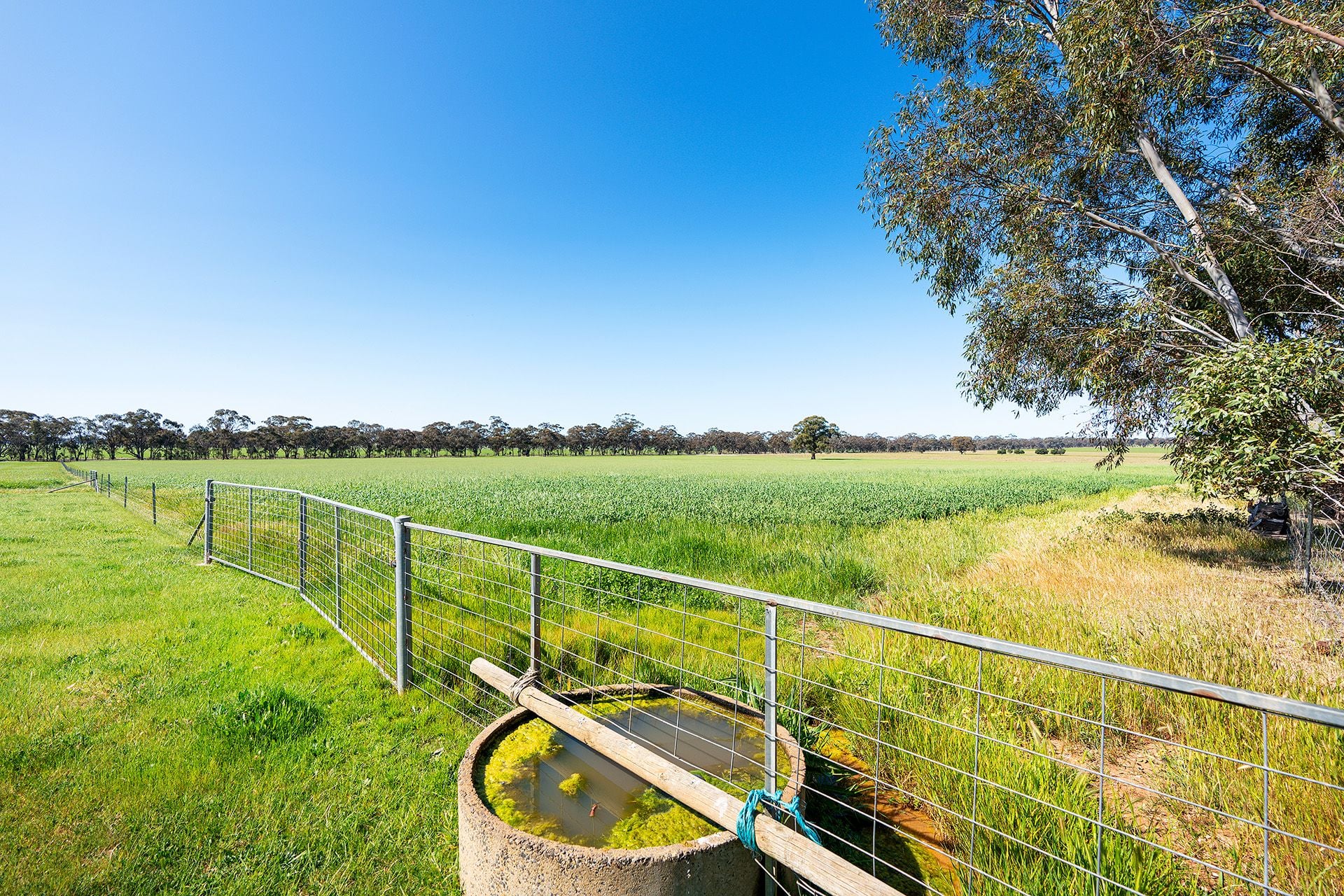 33 Edwards Road Eddington, Eddington - Thumbnail 7
