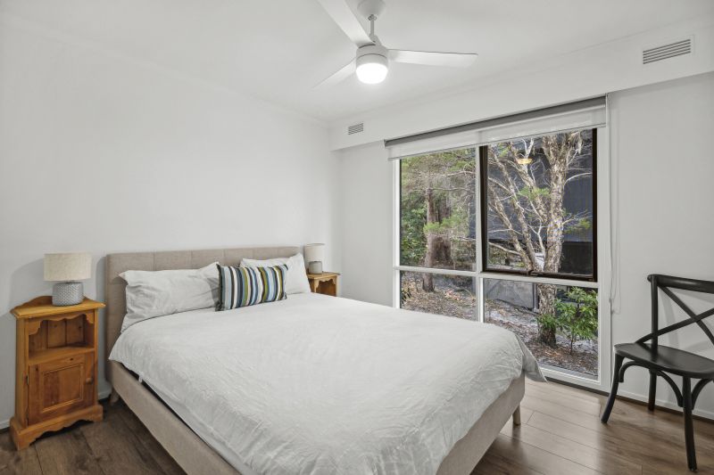 1 Holliday Road, Lorne, VIC, Lorne - Thumbnail 5