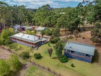 4 Webb Street, Red Hill, Red Hill - Thumbnail 4