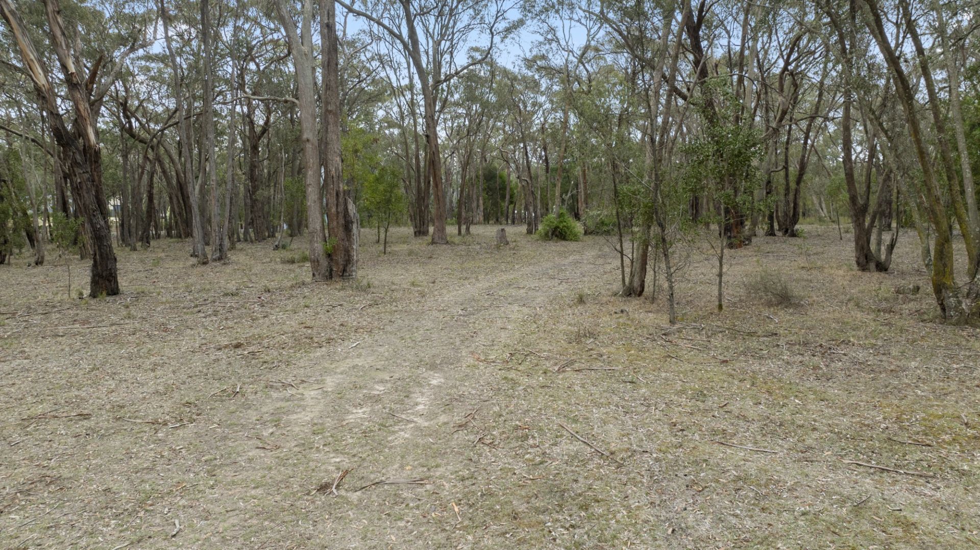Lot 2 Pre-Emptive Drive, Scarsdale, Scarsdale - Thumbnail 7