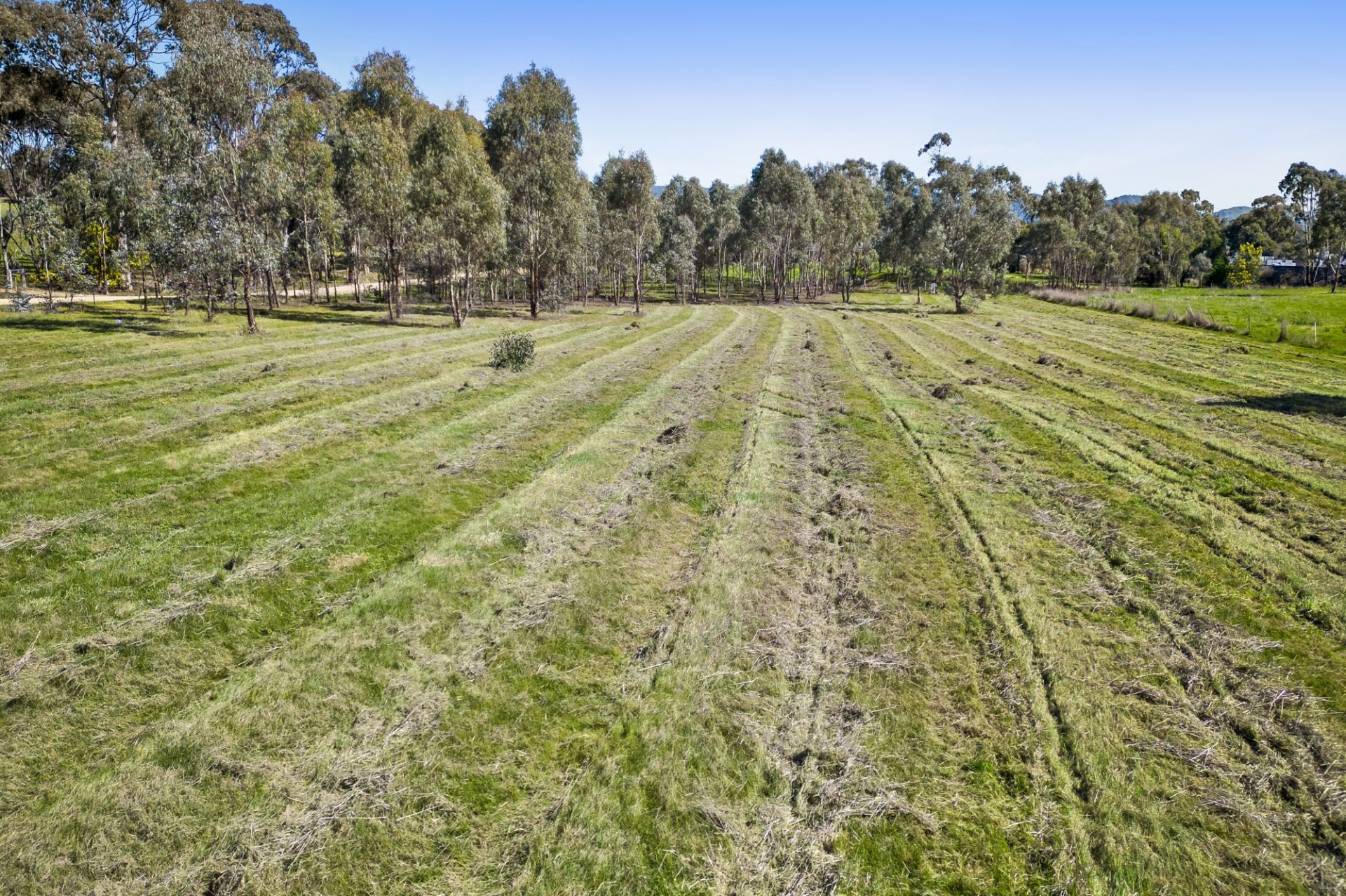 23 York Avenue, Avoca - Thumbnail 3
