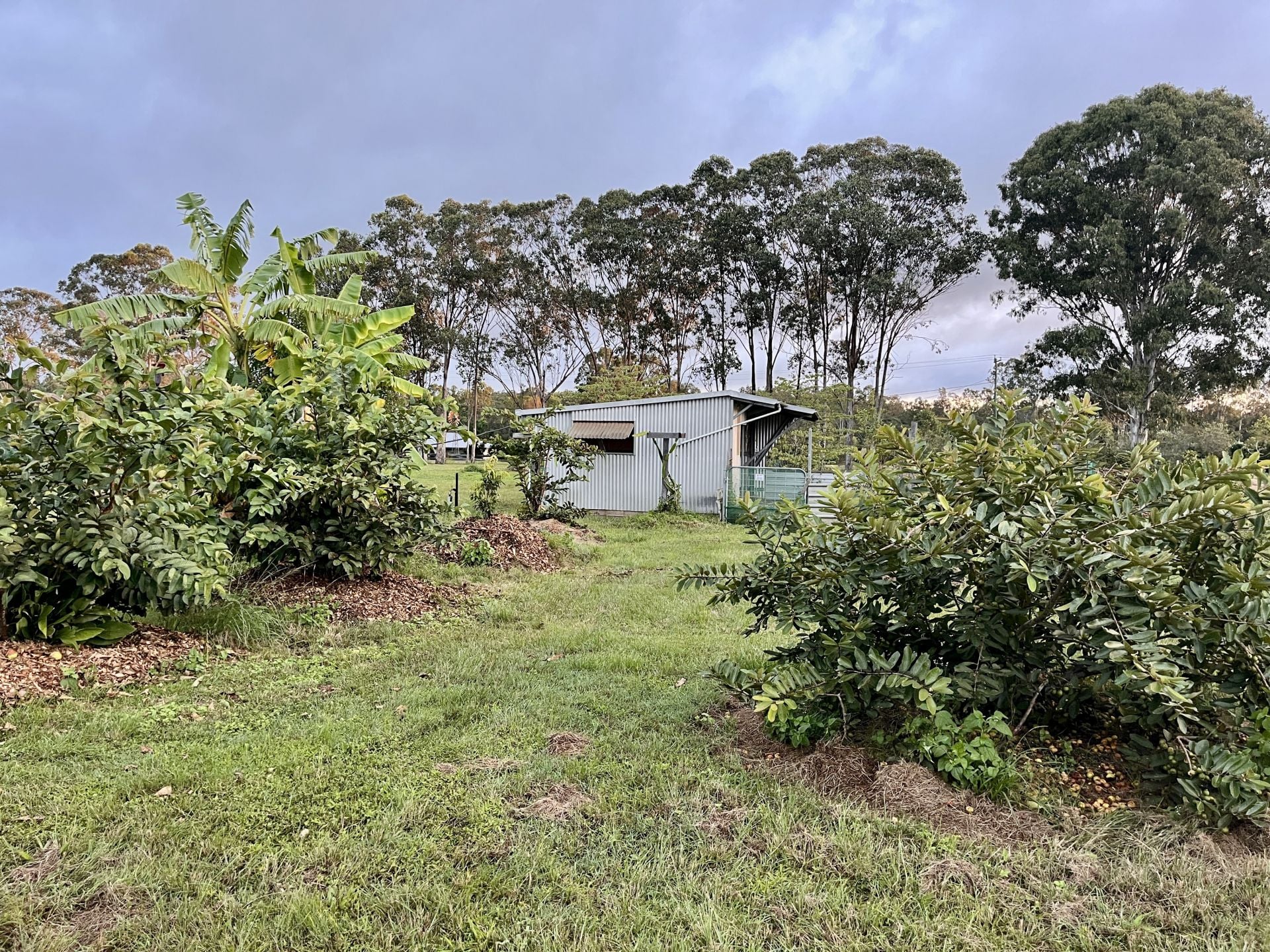 84 Gordon Earl Drive, Millstream For Sale by Farmbuy.com - image 28