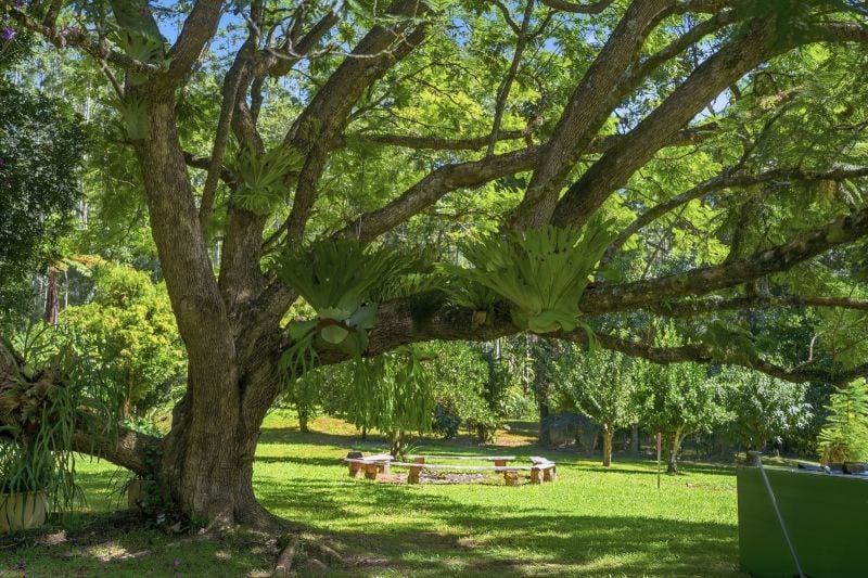 Mudbilly - A Unique Nature Retreat