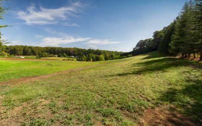 130 Gembrook-Tonimbuk Road Gembrook VIC, Gembrook - Thumbnail 3