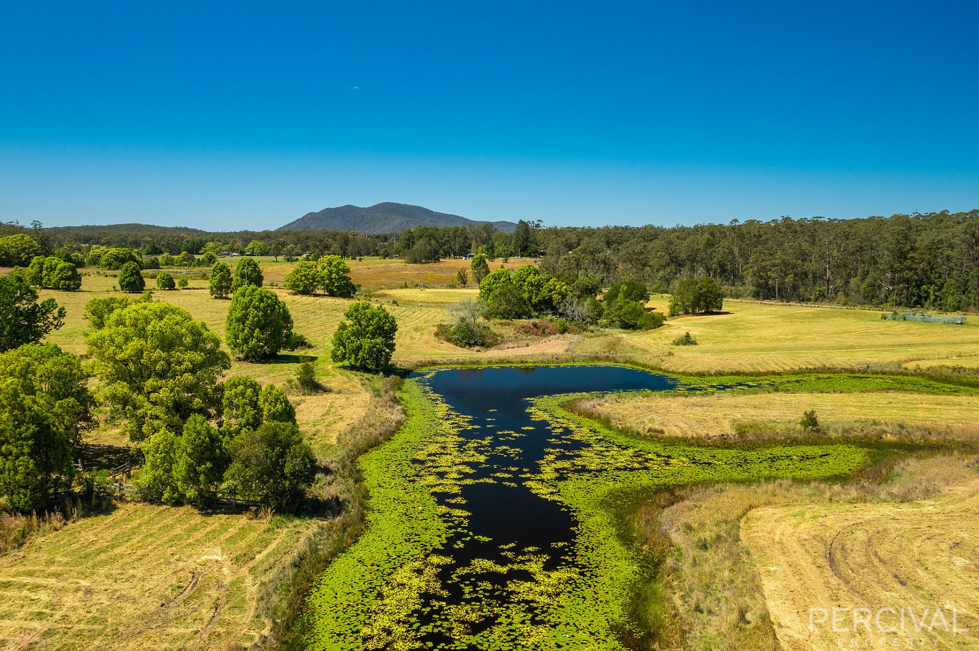 Lot 1/122 Blackbutt Road Herons Creek NSW, Herons Creek - Thumbnail 5