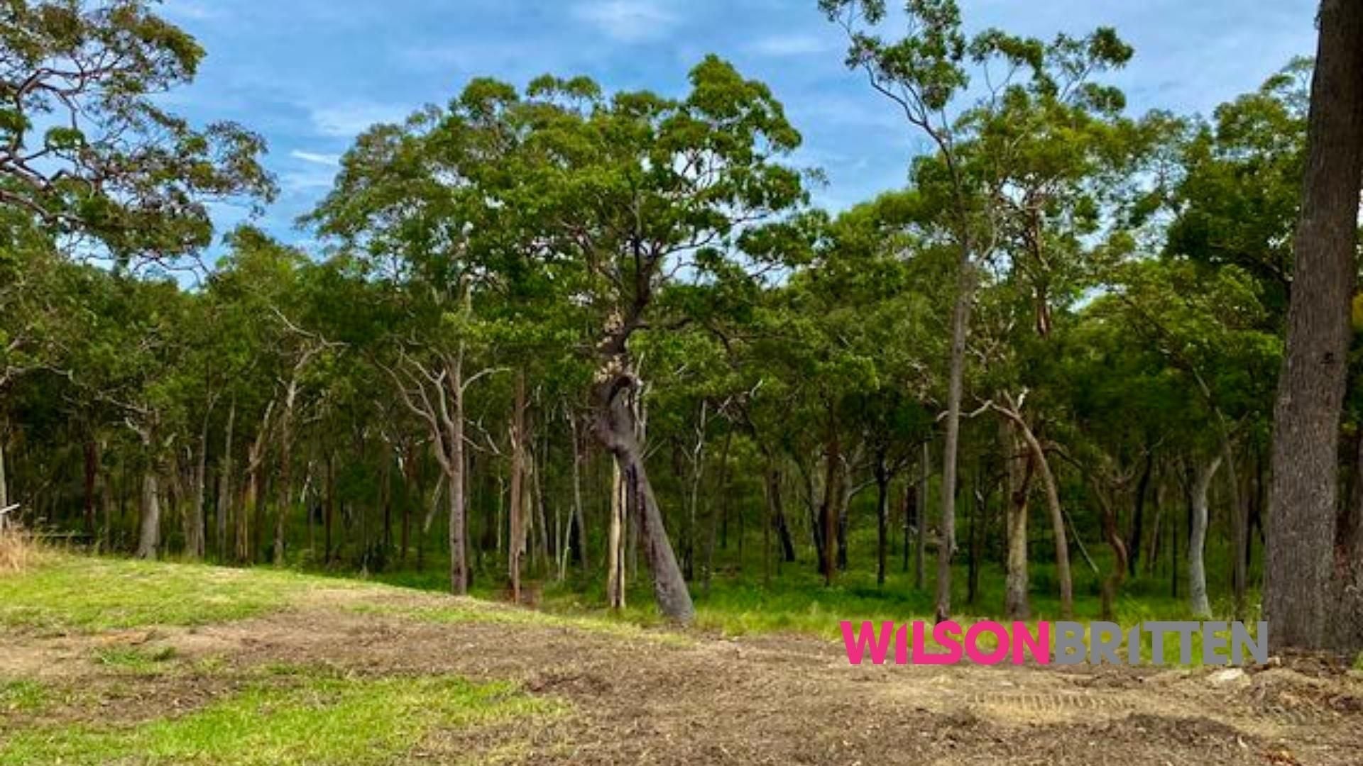 2/8 Lake Road BALCOLYN NSW, Balcolyn - Thumbnail 4
