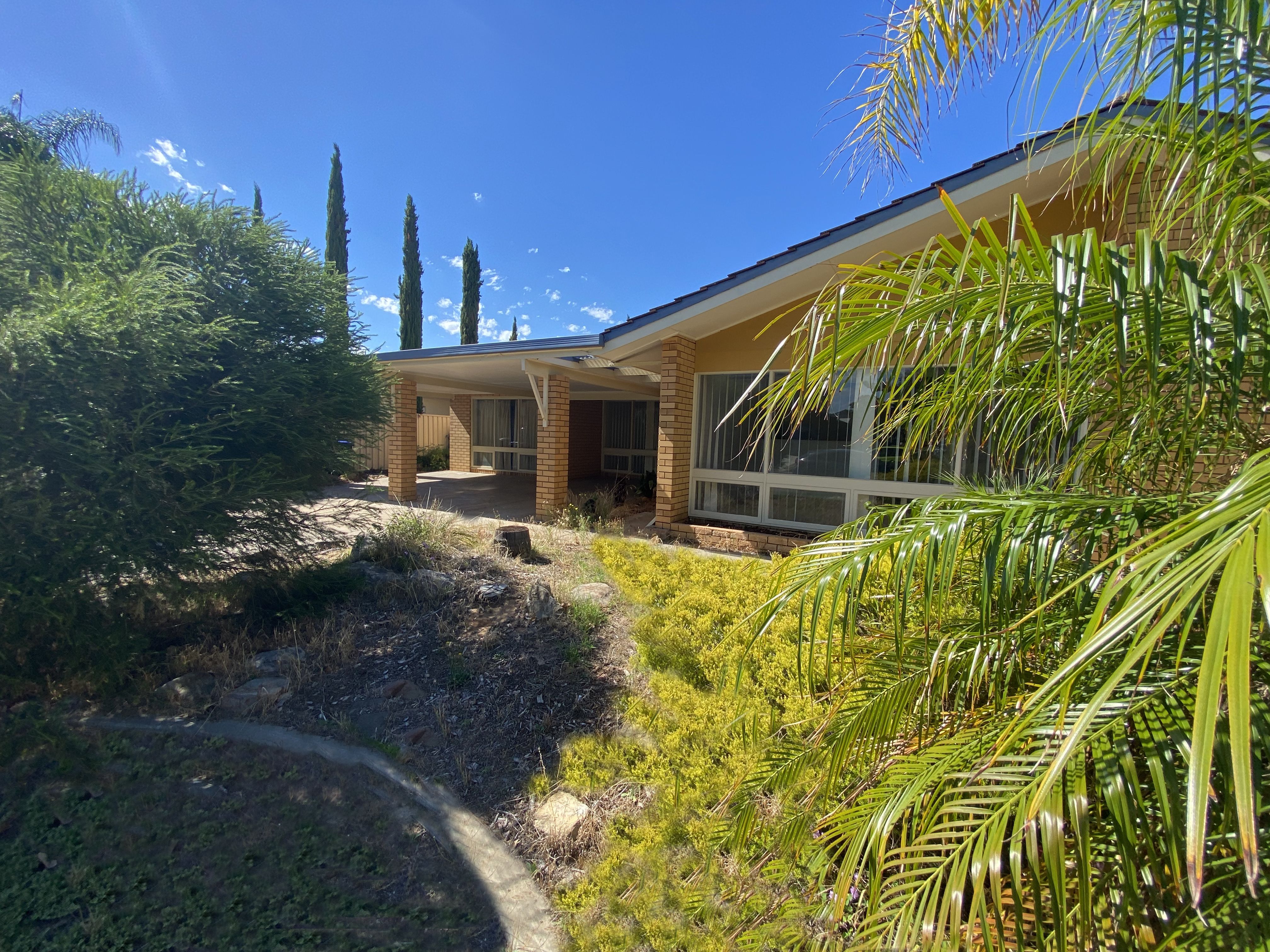 11 Pine Lodge Crescent, Grange SA 5022