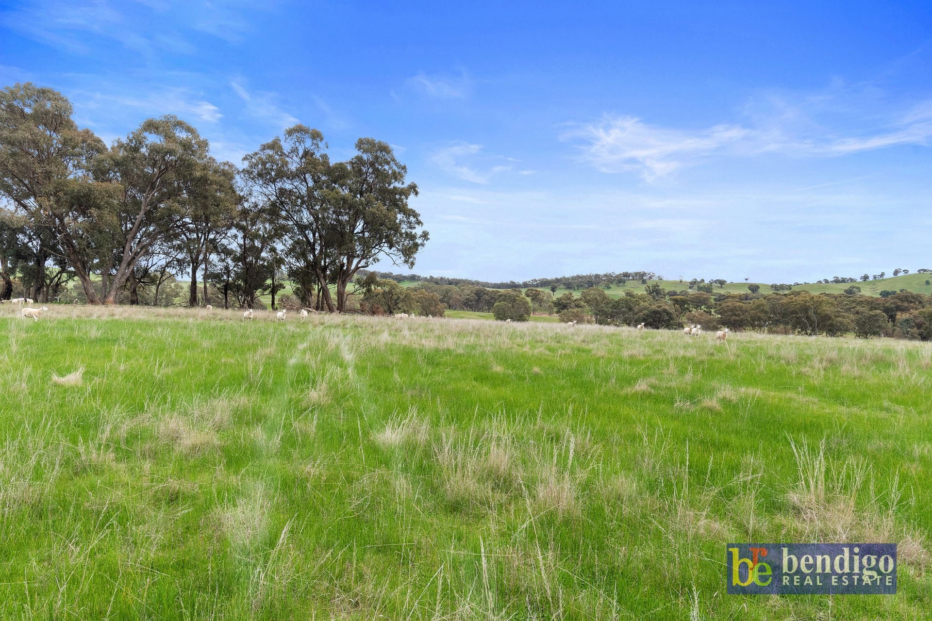 CA 12/Sec 31 Bendigo-Maldon Road Lockwood South VIC, South - Thumbnail 2