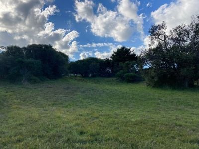 1 Carol Court, Venus Bay VIC, Venus Bay - Thumbnail 2