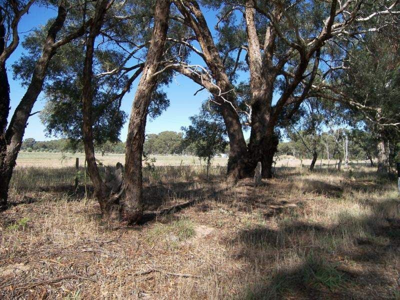 20/ Sharkeys Road Goornong VIC, Goornong - Thumbnail 4