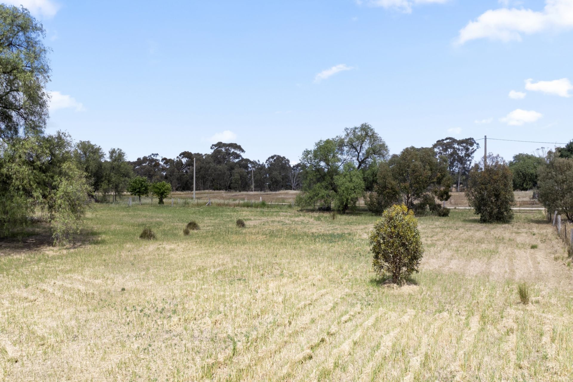 1282 Dunolly-Timor Road, Timor - Thumbnail 2
