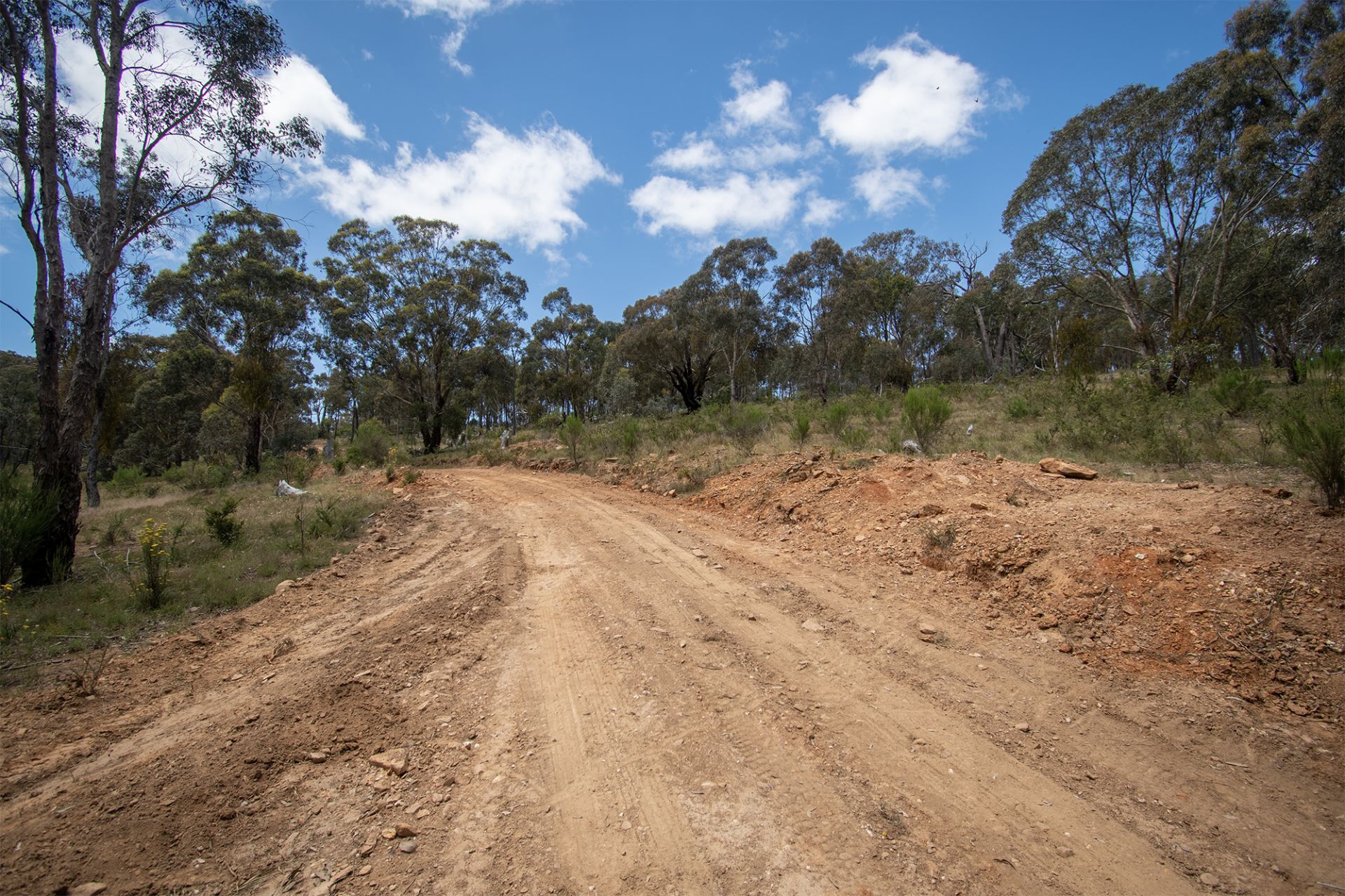 233 Tormeys Lane, Moonambel - Thumbnail 7
