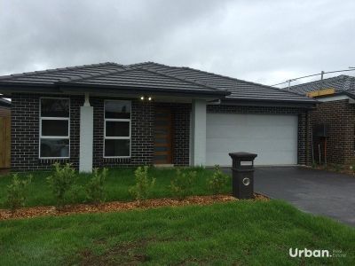 Colebee 38 Summerland Crescent