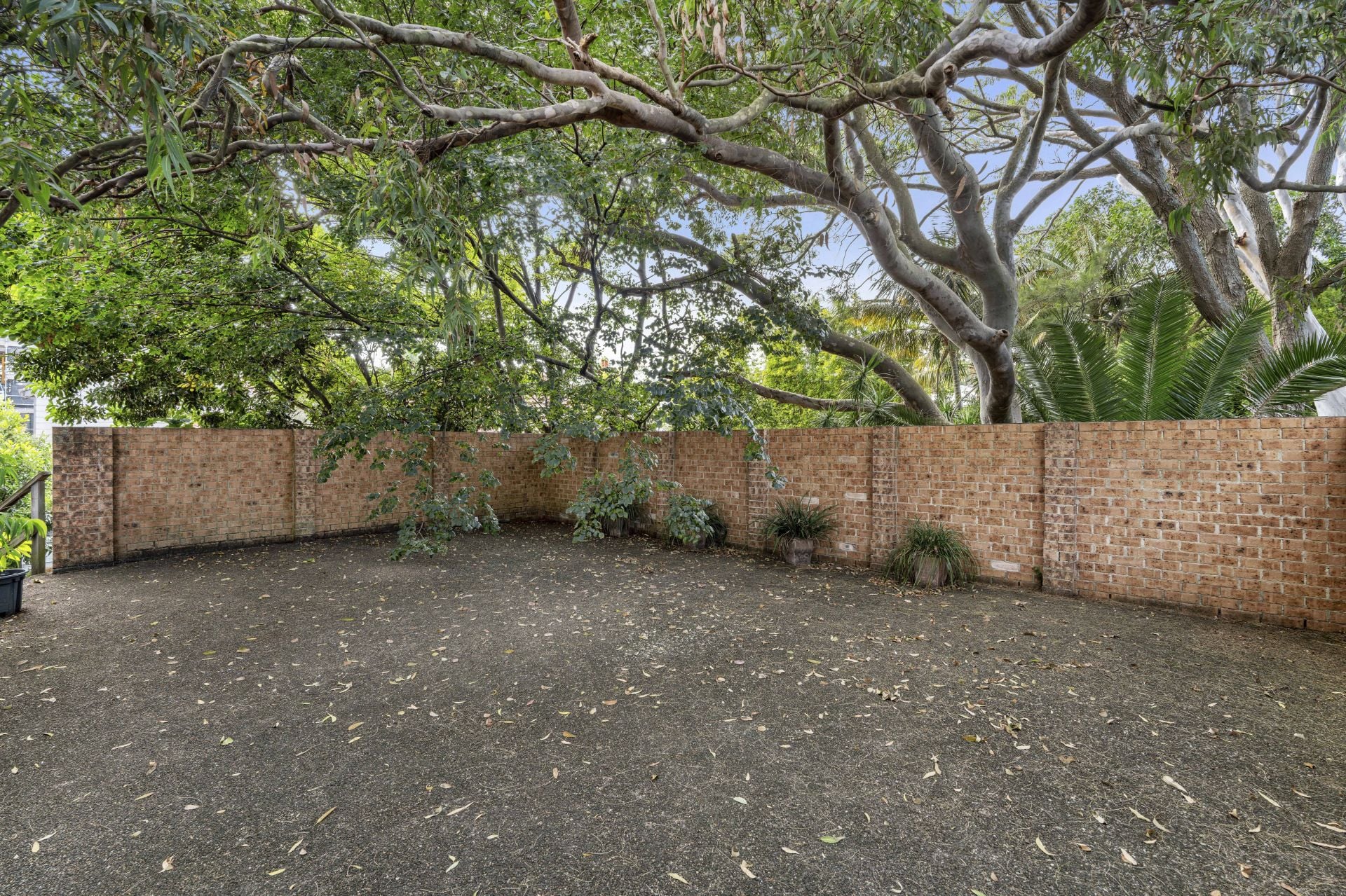 9/505-509 Old South Head Road Rose Bay NSW, Rose Bay - Thumbnail 8
