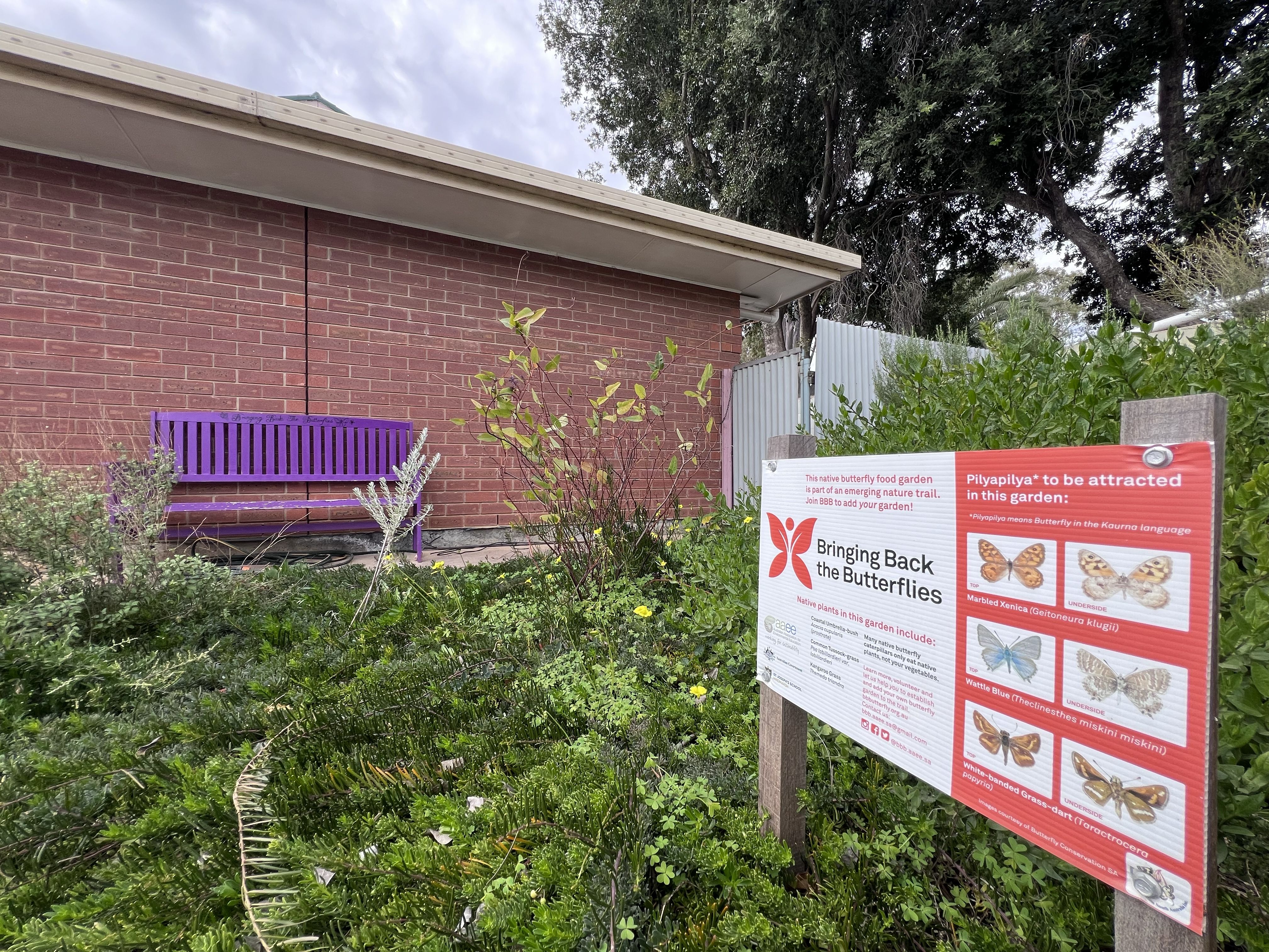 47 Murray Street, Albert Park SA 5014