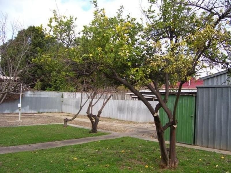 48 Lower Portrush Road MARDEN SA, Marden - Thumbnail 5