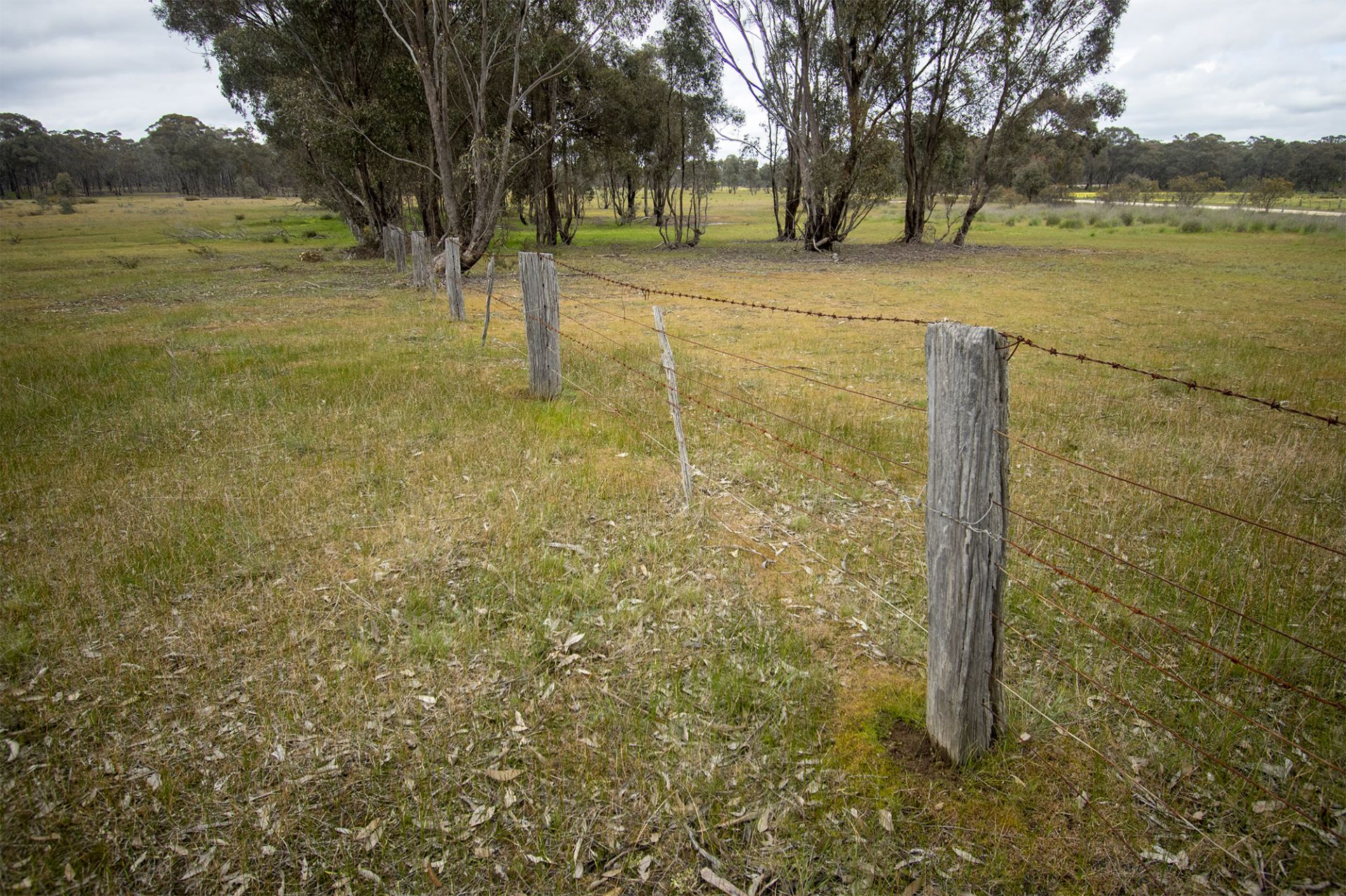 28/123 Logan Road, Alma - Thumbnail 7