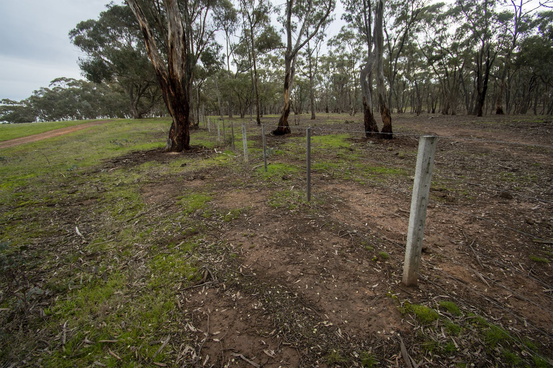 67 Carisbrook-Eddington Road, Carisbrook - Thumbnail 5