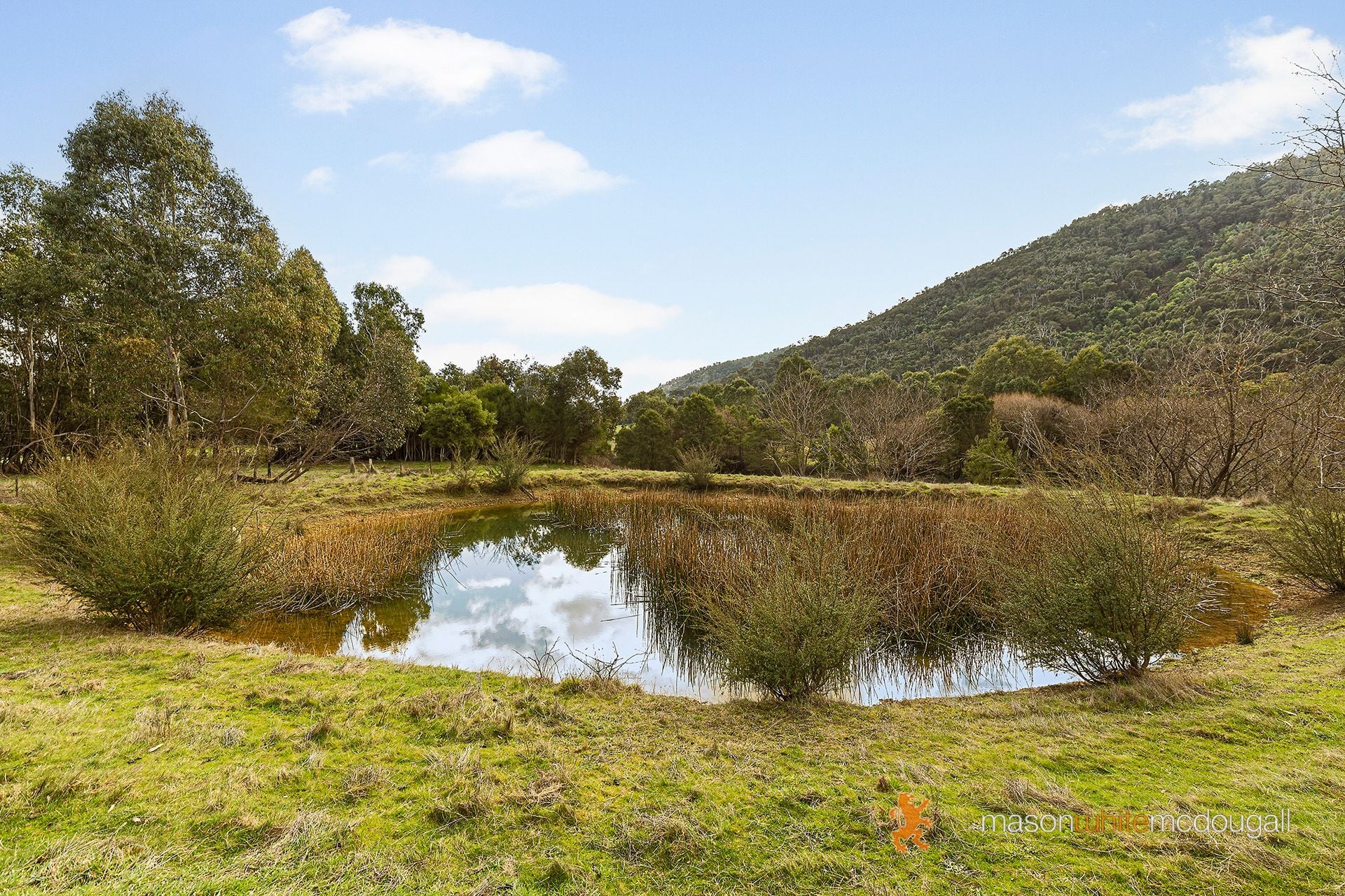 3493 Whittlesea-Yea Road Flowerdale VIC, Flowerdale - Thumbnail 4