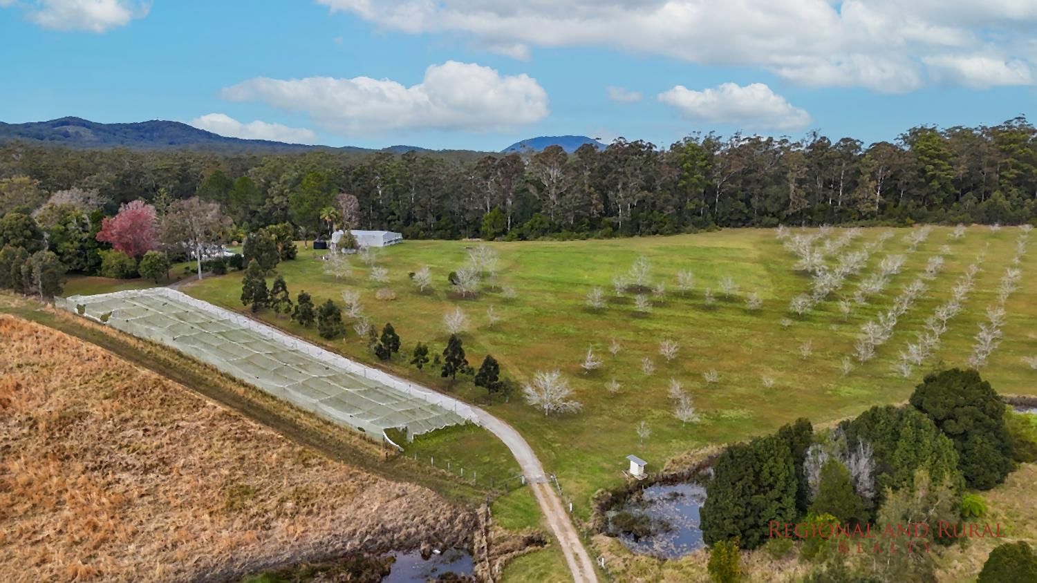 6188 Pacific Highway, HERONS CREEK NSW 2439
