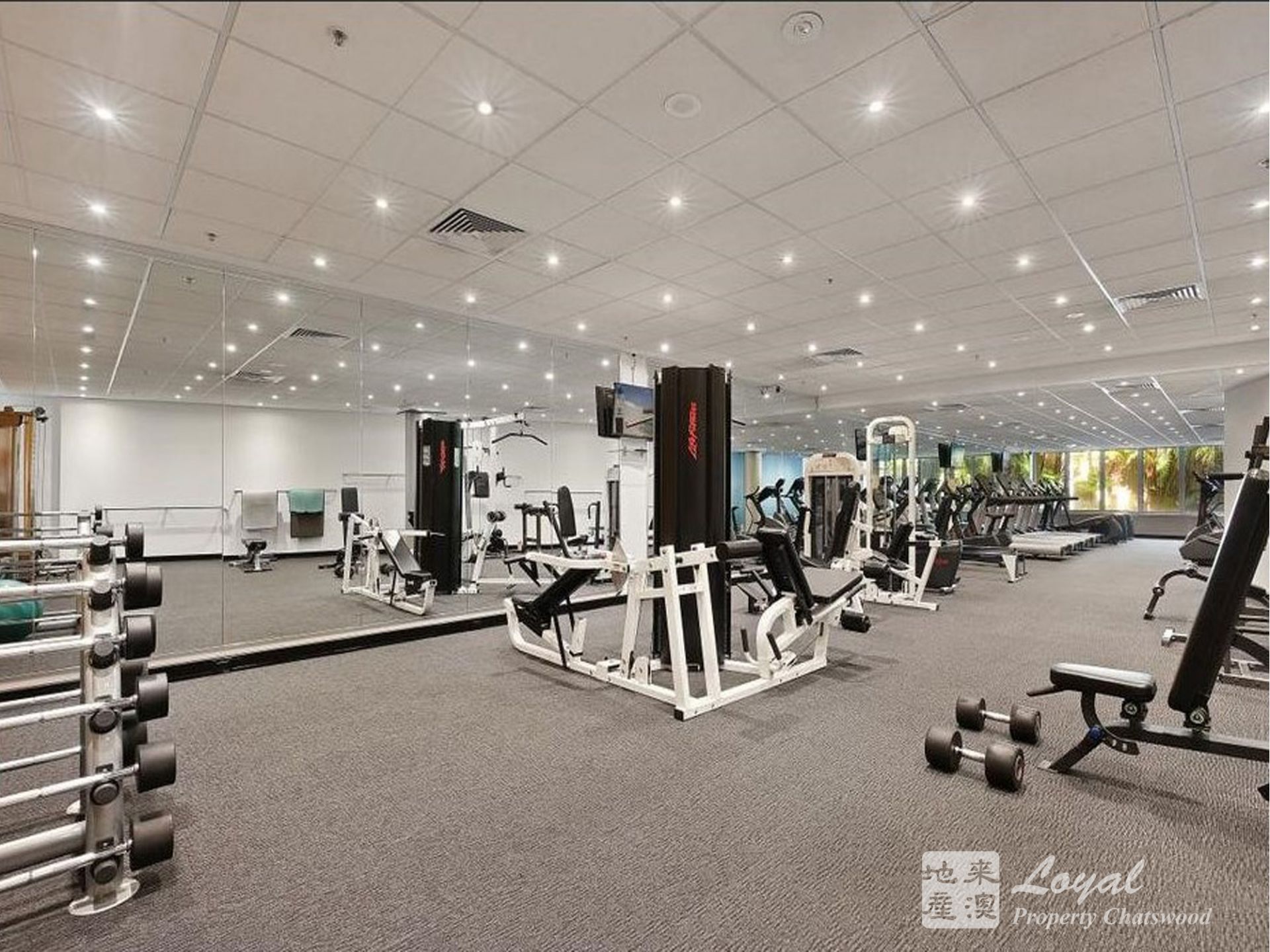 402/1 Cambridge Lane Chatswood NSW, Chatswood - Thumbnail 8