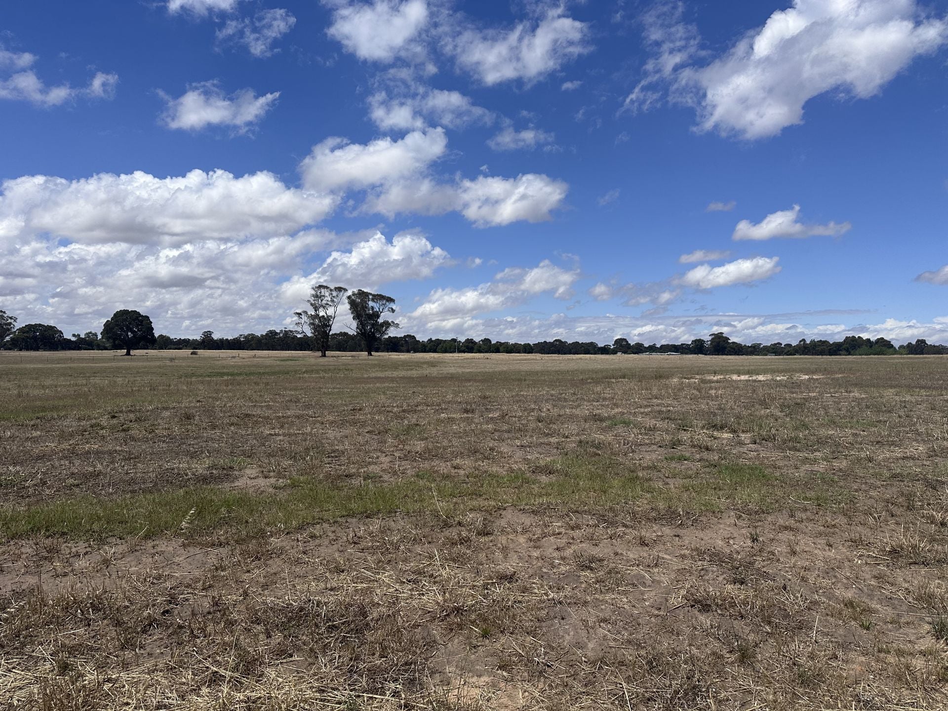 Lot 26 Mackies Road Haven VIC, Haven - Thumbnail 3