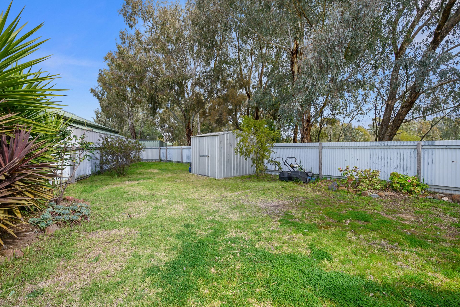 2/4 Hedley Court, White Hills, White Hills, White Hills - Thumbnail 7