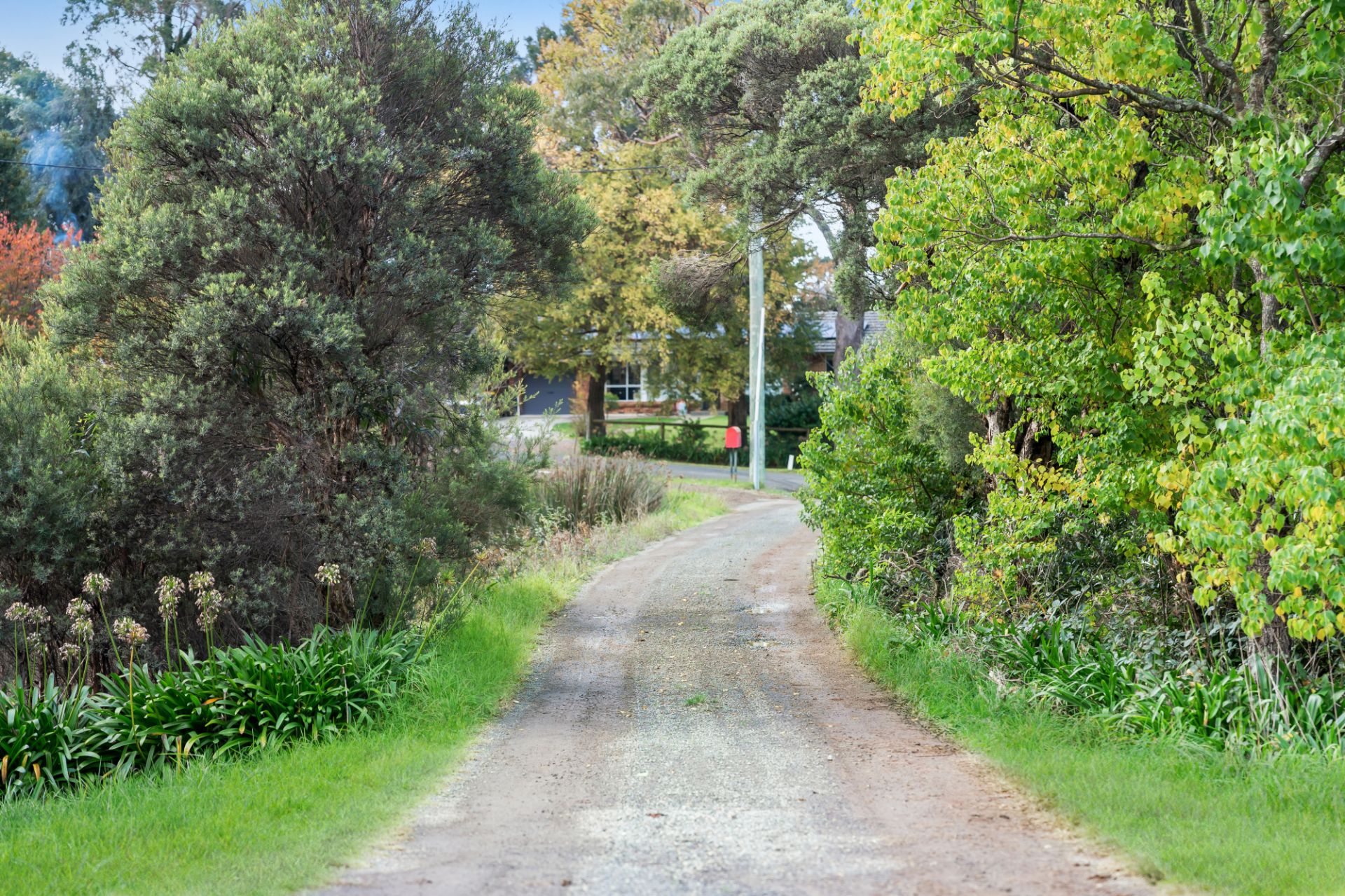 1 Jasmine Street, Colo Vale, Colo Vale - Thumbnail 3