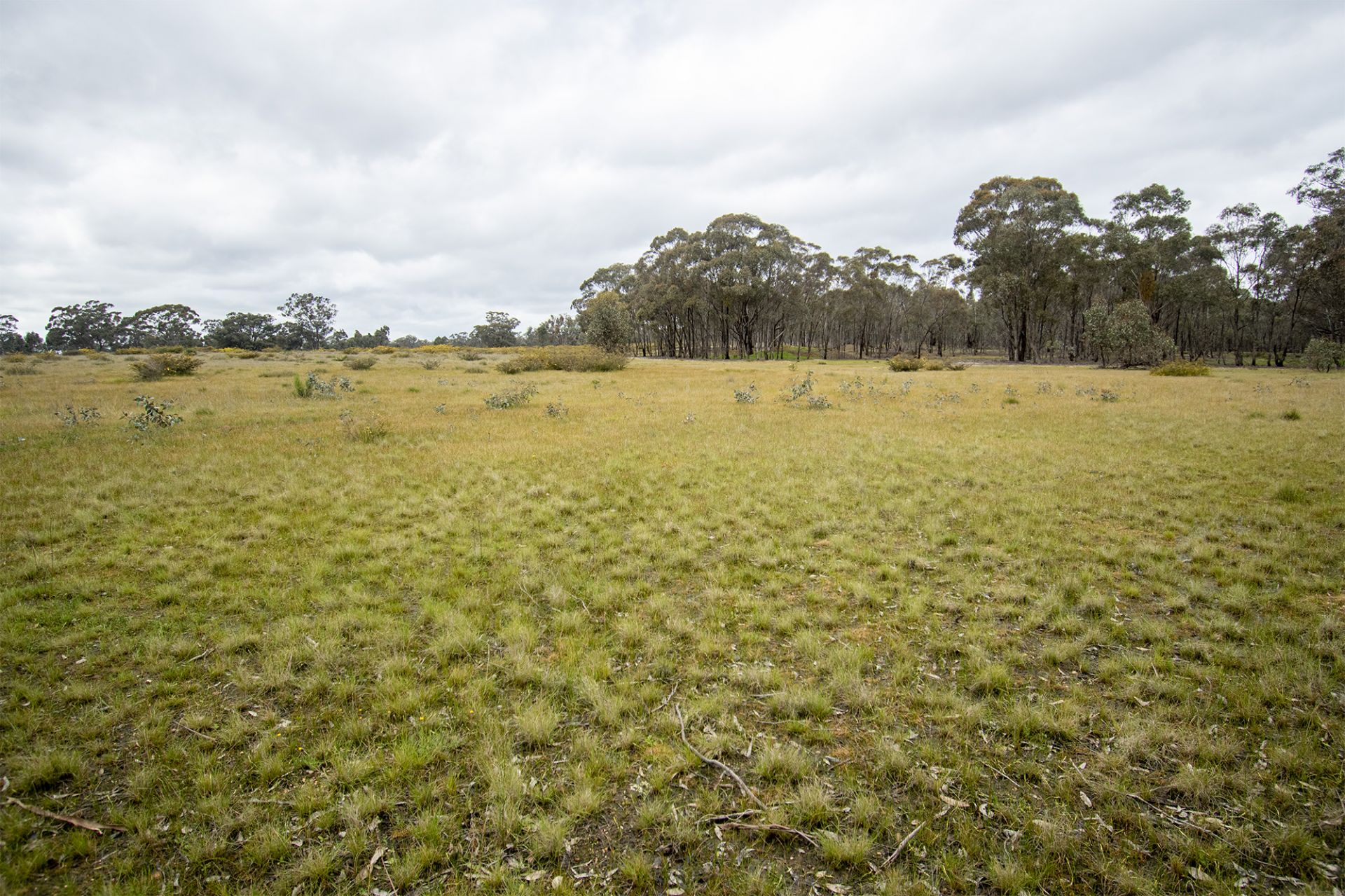 28/123 Logan Road, Alma - Thumbnail 6
