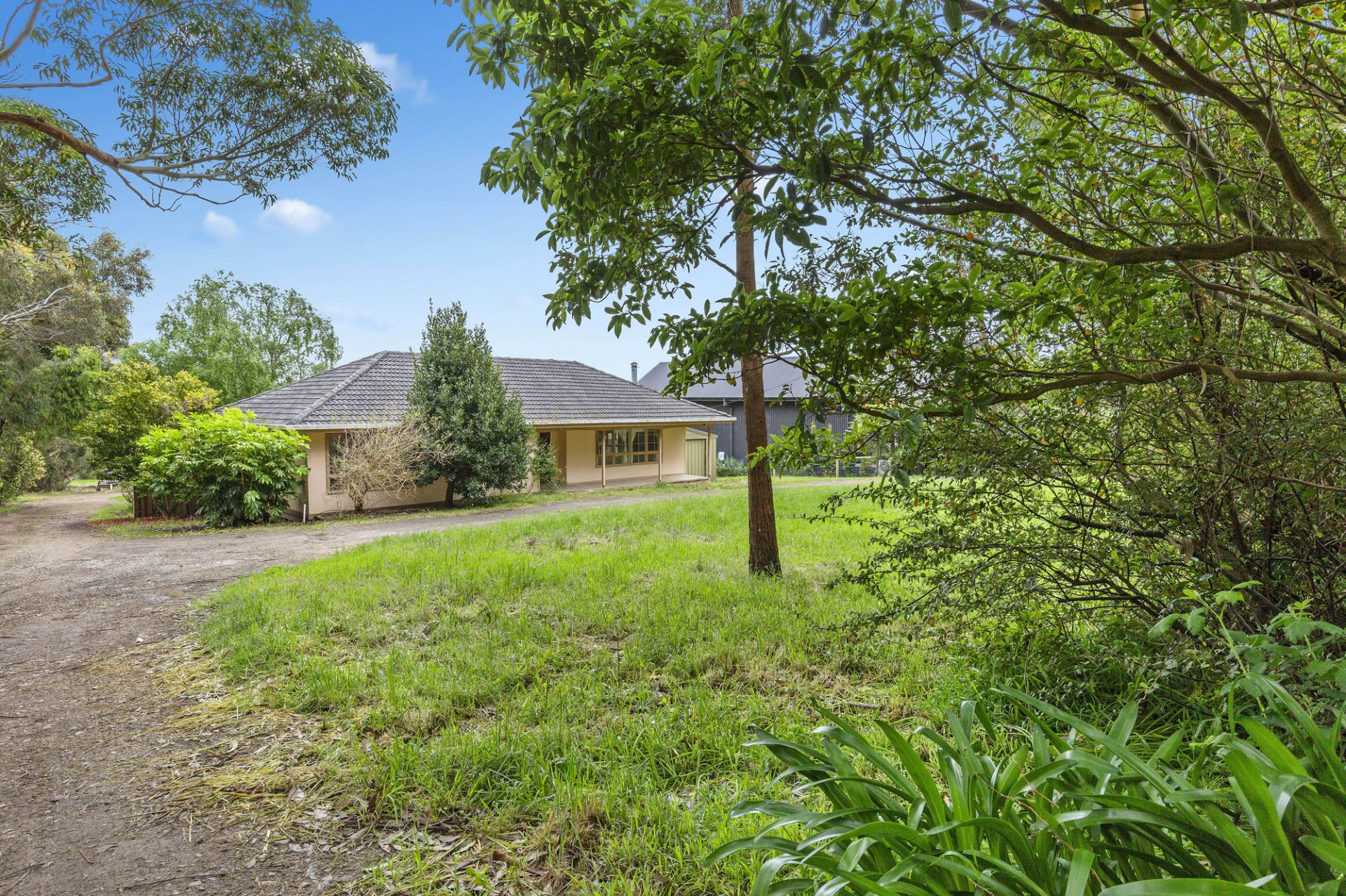 1438 Mornington-Flinders Road, Main Ridge, Main Ridge - Thumbnail 2