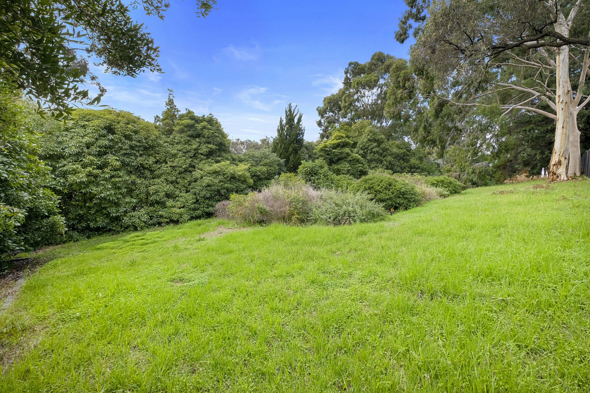 32 Doak Street, East Bendigo, East Bendigo, East Bendigo - Thumbnail 5