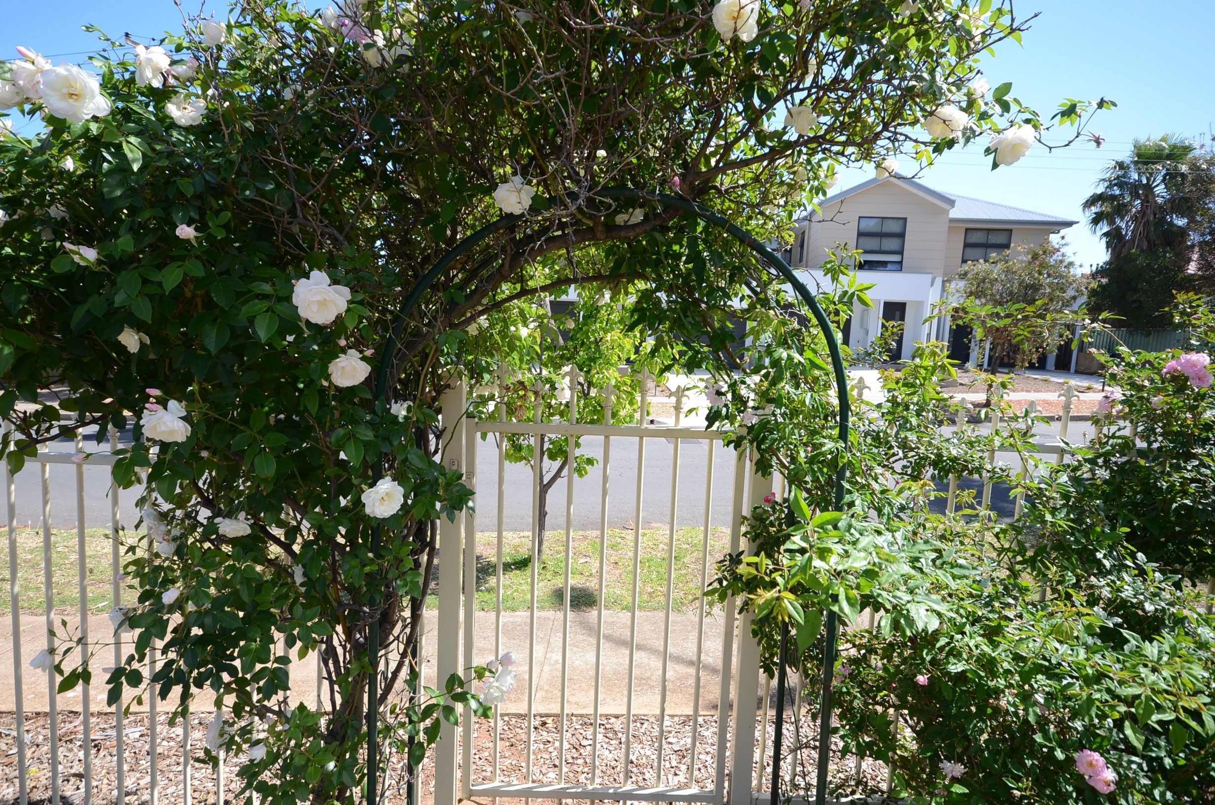 8 Pike Street, Christies Beach SA 5165