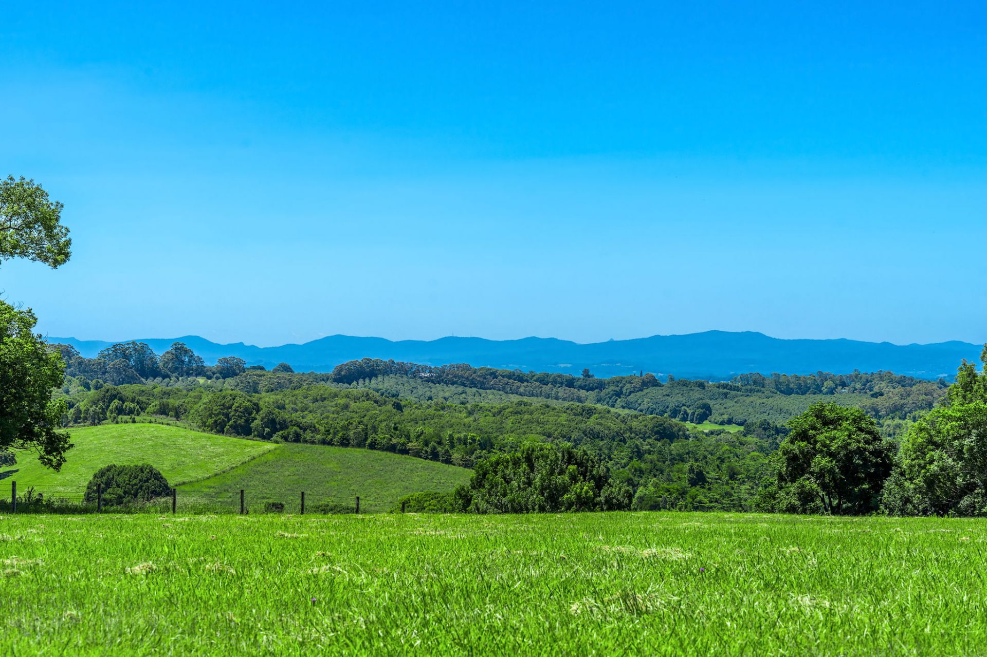 $ 1,390,000, Wollongbar - Thumbnail 2