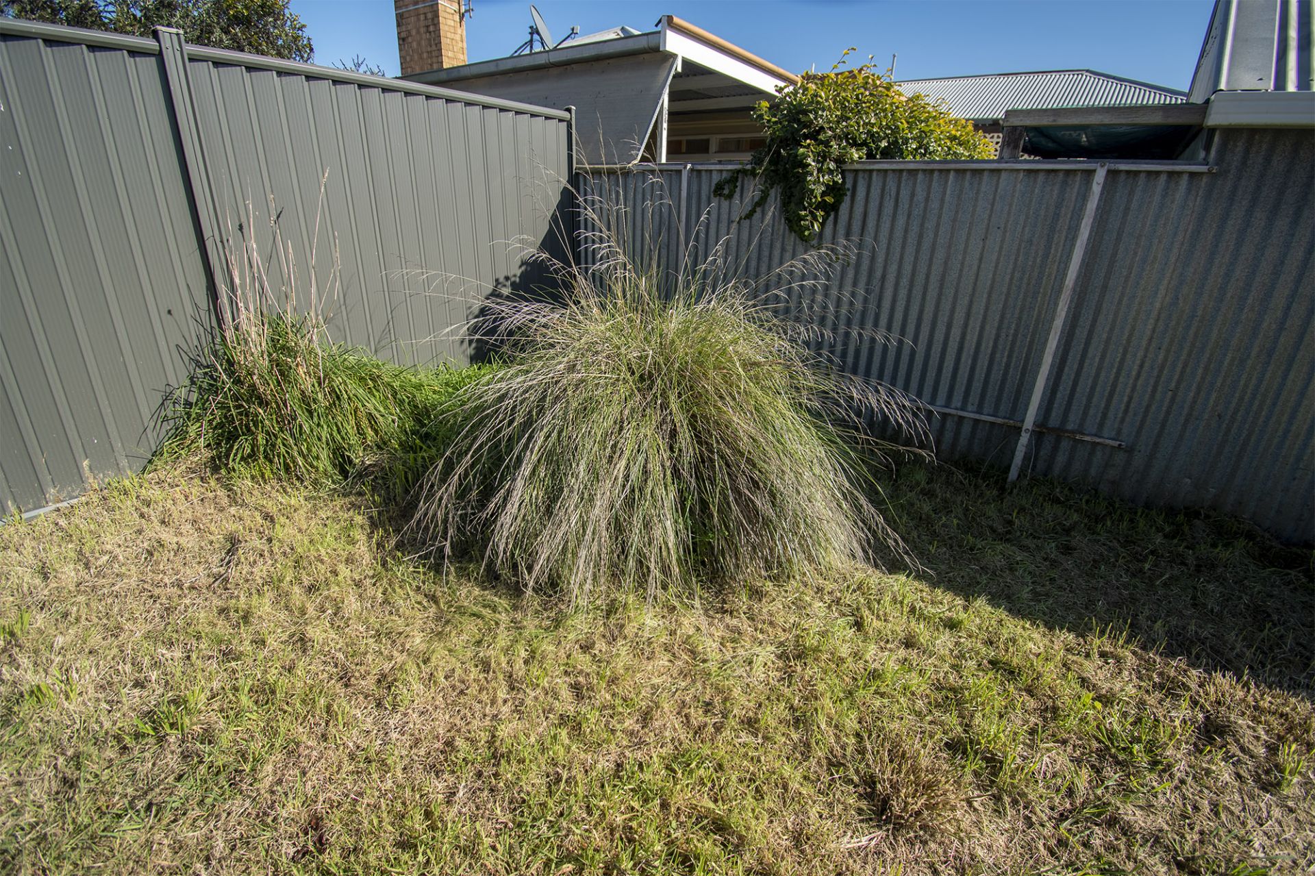47 Napier Street, Maryborough - Image 1